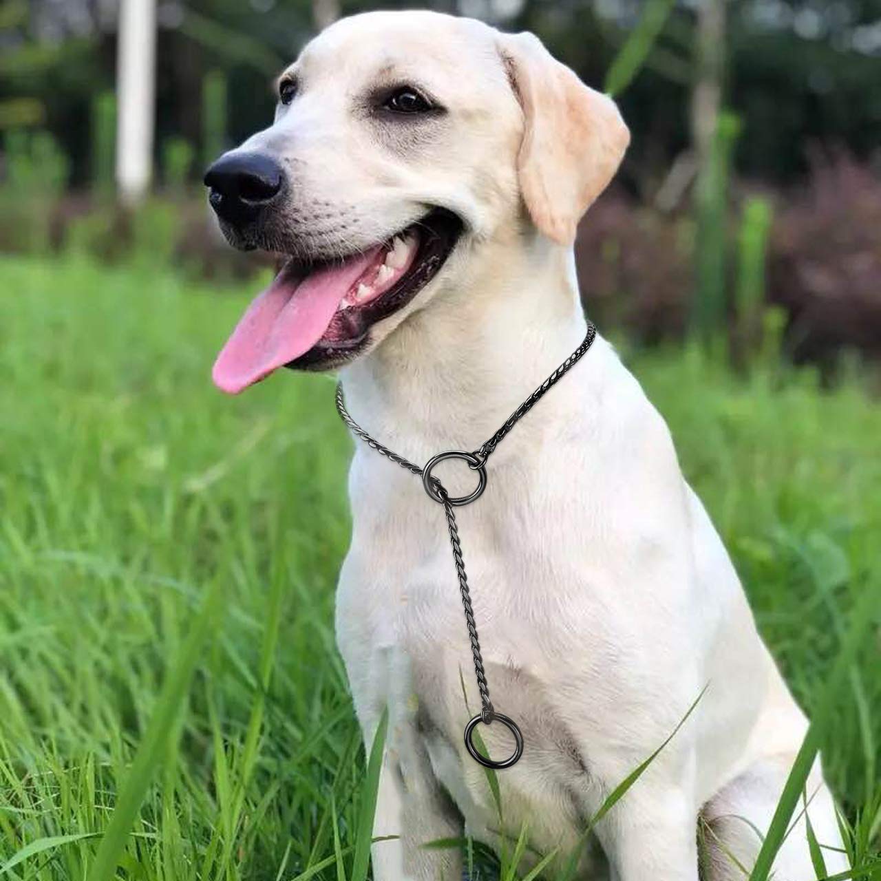 Mogoko Stainless Steel Dog Choke Chain Collar, Puppy Metal Snake Chain Pet Show Slip Collar Choker For Training Walking (Black;20.0'*4.0Mm)