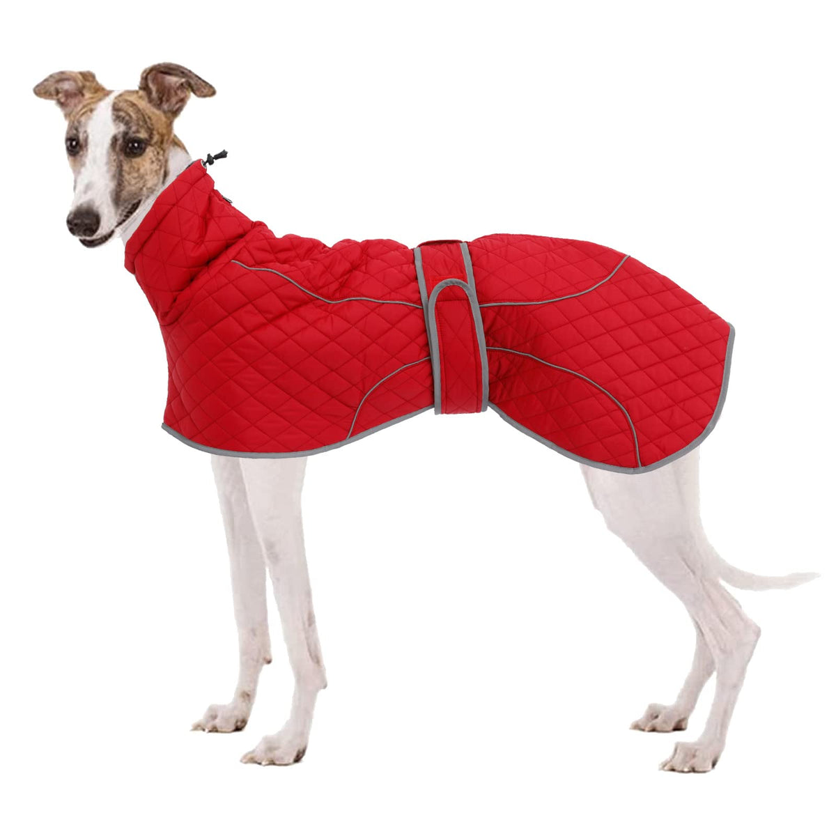 Greyhound Winter Coat, Whippet Coat With Padded Fleece Lining, Water Resistant Dog Jacket With Hook And Loop Closure And Reflective Trim Safety - Red - Medium