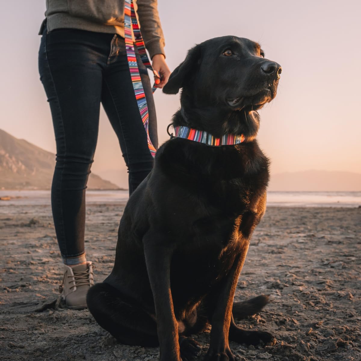 Wolfgang Heavy Duty Dog Leash - Pull-Tested 800 lbs, Small Size, Quetzal Print, Single Handle (5/8" x 4')