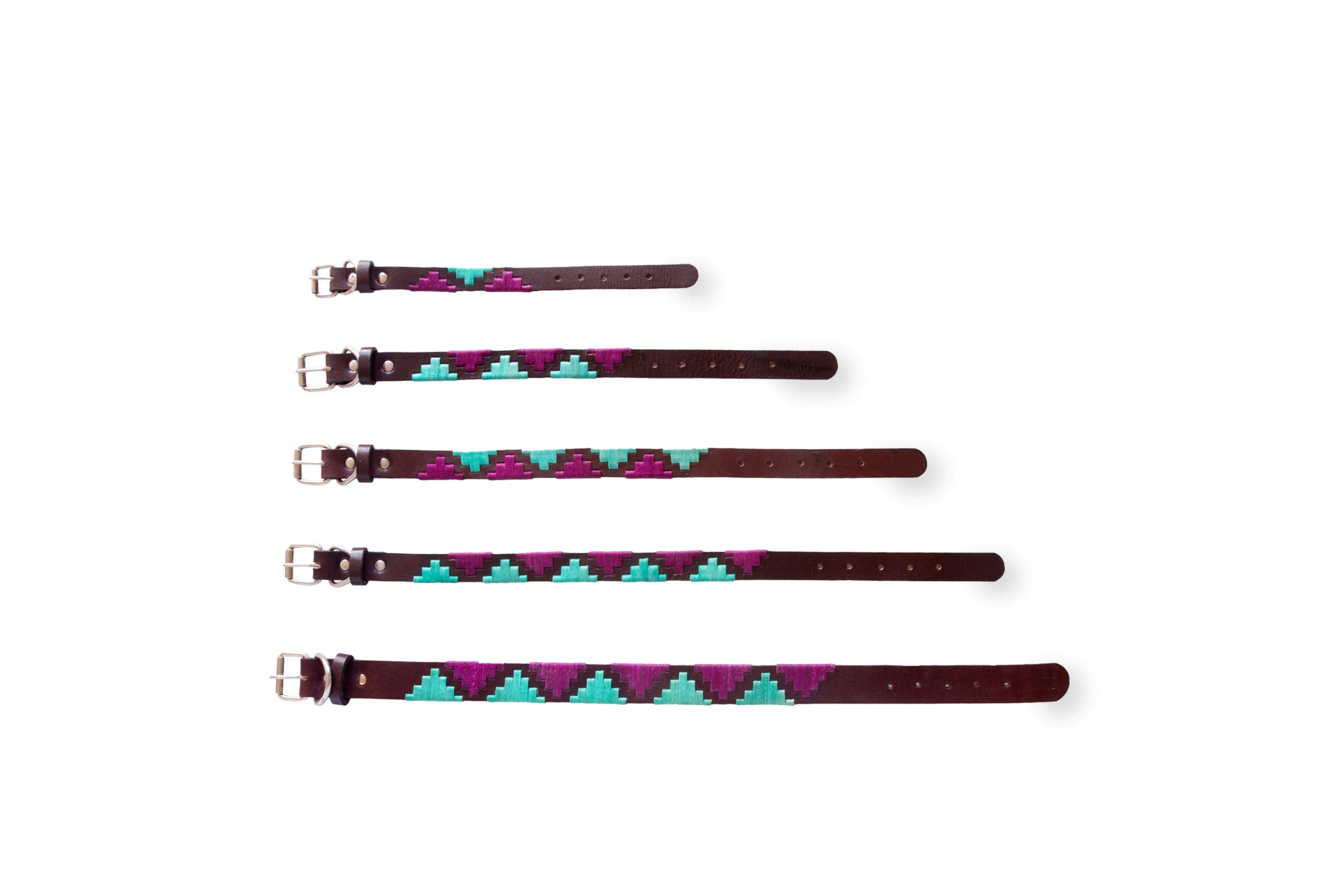 Gaucho Goods Leather Dog Collar (Miami-Xs) For Small Dogs