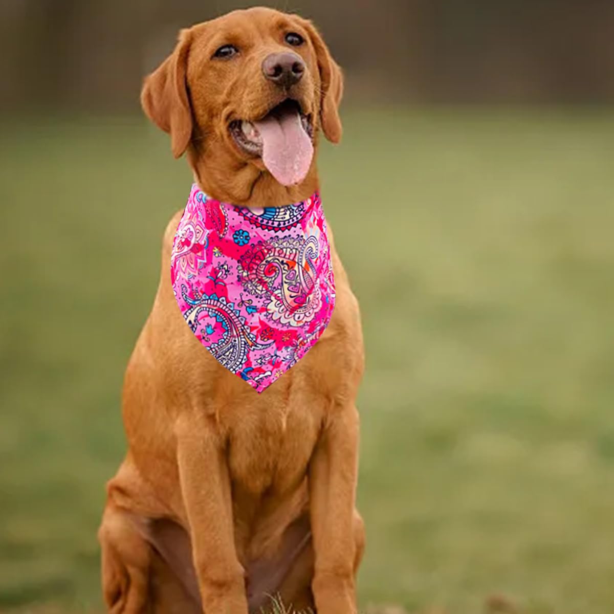 Pai Sence 30 Pack Paisley Dog Bandanas Bulk 33 Inche Extral Large XL Dogs Breed Bandanas Adjustable Polyester Print One Side Tri