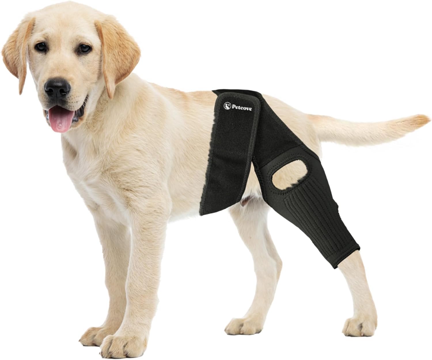 Dog Knee Brace, Dog Knee Brace for Torn Acl Hind Leg, Dog Leg Braces for Back Leg, Size Small, Dog Acl Brace Hind Leg, Acl Brace