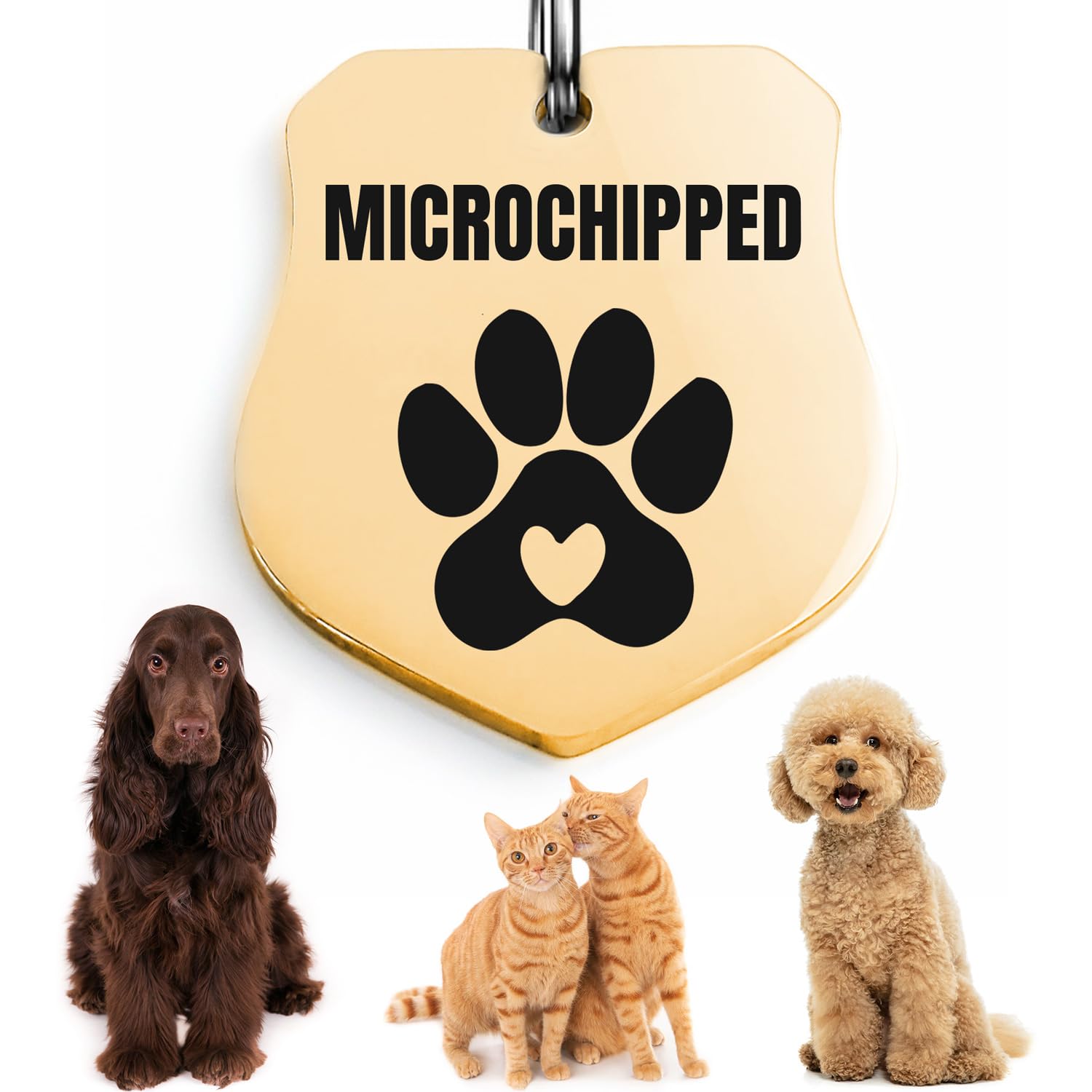 Universal Pet Tag Microchipped Pet Notation Fits All Collar Types Tag Chip Tag For Pets Dog Collar Gift Chip Id (Badge_Golden)