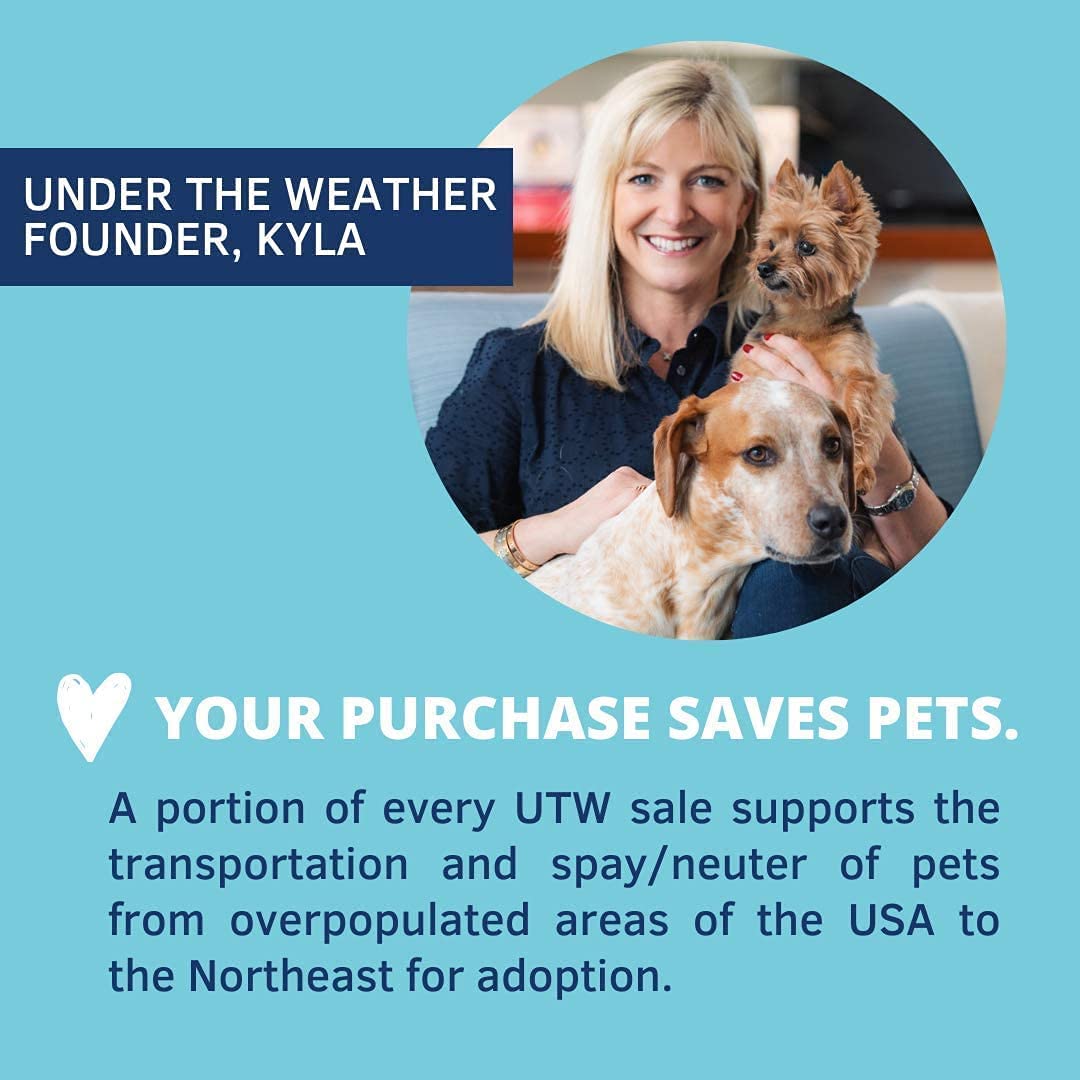 Under the Weather Easy to Digest Bland Dog Food Diet for Sick Dogs | Contains Electrolytes | Gluten Free, Freeze Dried 100% Huma