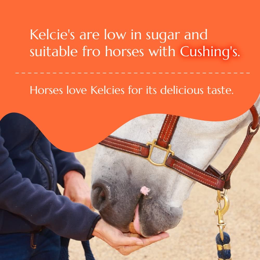 Kelcies Pumpkin Spice Horses Treats - Low Sugar, Starch, and Carbohydrates | Healthy Treats for Horse Supports Superior Digestio