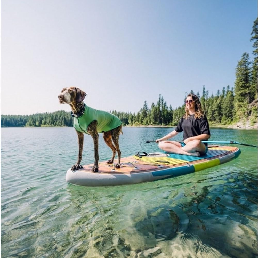 Gold Paw Sun Shield Dog Tee – T-Shirt For Canines – Uv Protection, Pet Anxiety Relief, Wound Care – Protects Against Foxtails, Aids Alopecia - Machine Washable, All Season – Size 14 – Ocean Blue