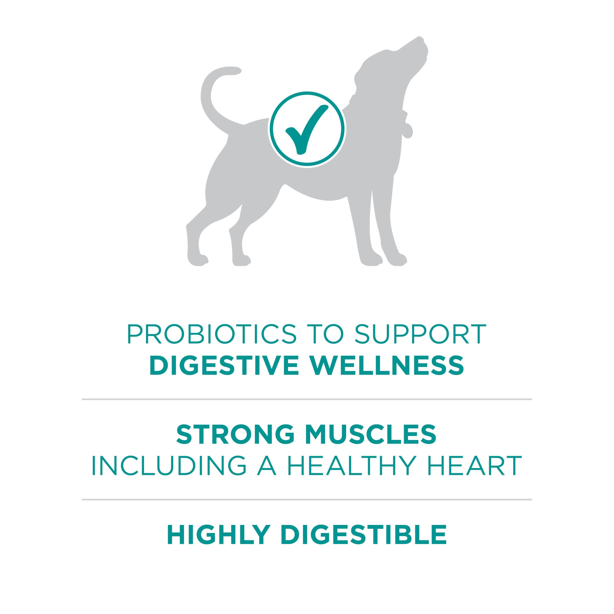 Purina One Plus Digestive Health Formula Dry Dog Food Natural with Added Vitamins, Minerals and Nutrients - 16.5 lb. Bag