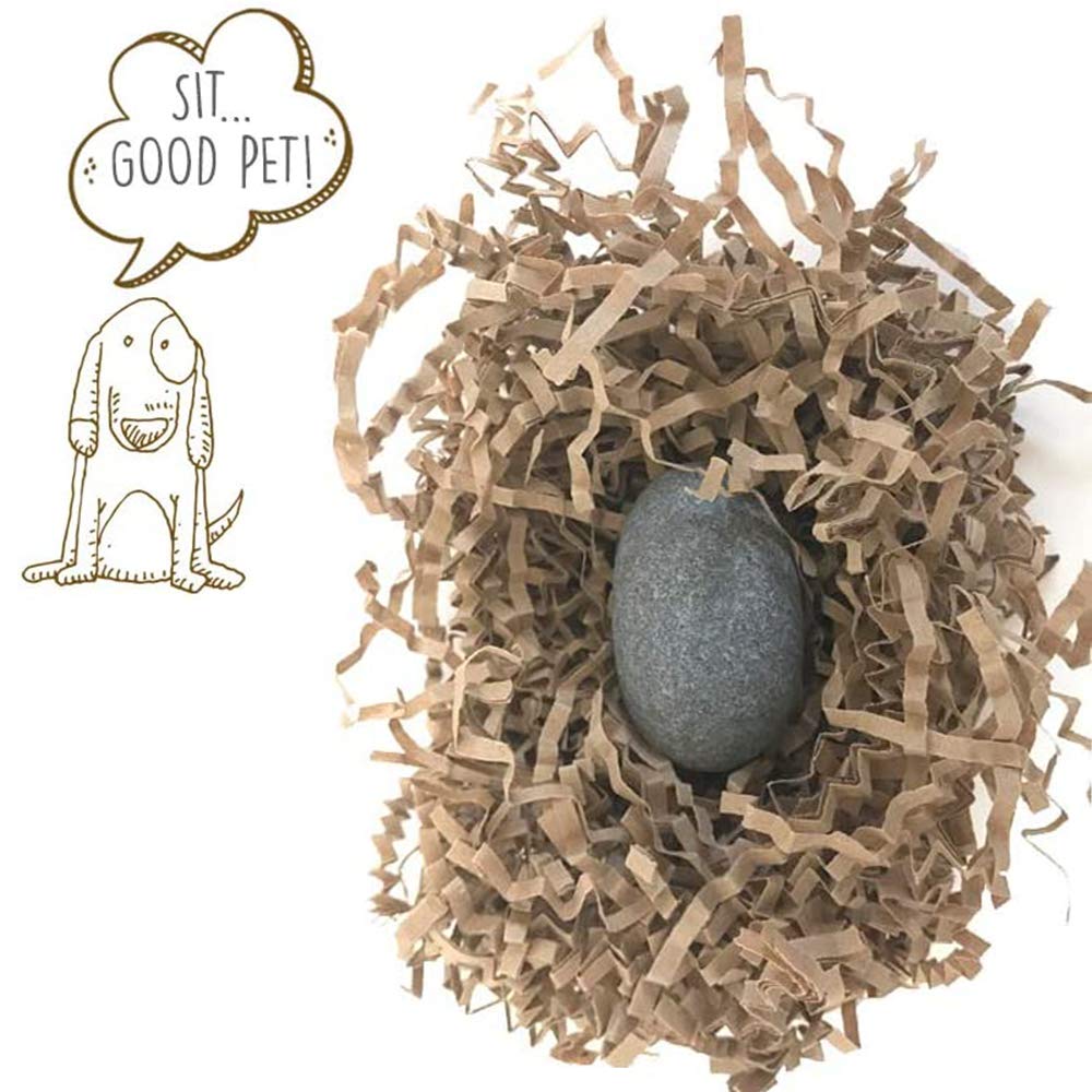 Pet Rock - The Original By Gary Dahl