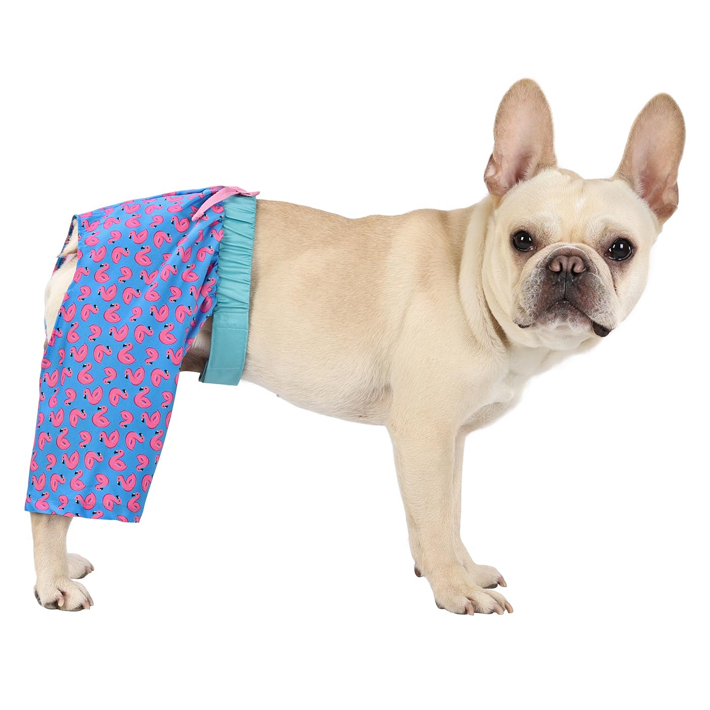 Hde Dog Swim Trunks Hawaiian Board Shorts Beach Pool Swimsuit For Xs To Xxl Dogs Flamingos - Xs