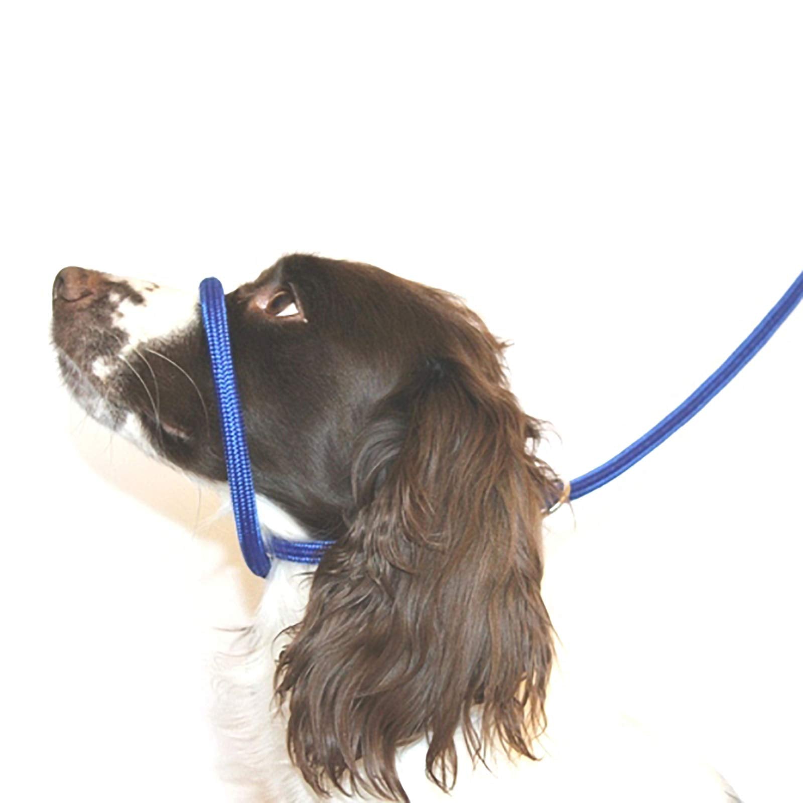 Dog & Field Figure 8 Anti Pull Lead/Halter/Head Collar - One Size Fits All - Soft Braided Nylon - Comfortable, Supple, Secure And Proven To Make Your Walks More Enjoyable - No More Pulling! (Blue)