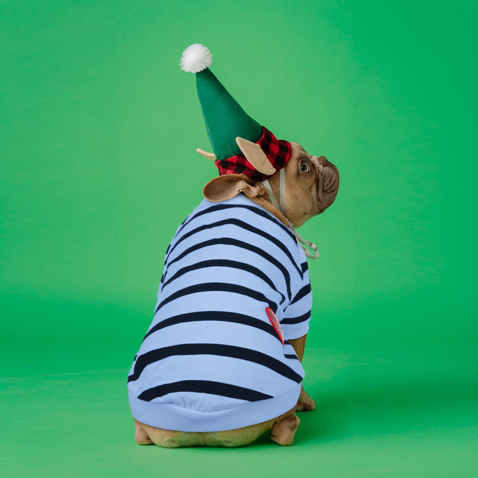 Preferhouse Pet Dog Striped T-Shirt Dogs Cats Cotton Vest Spring Summer Pet Apparel Tee Shirt Suitable For Small And Medium Large Pets French Bulldog Bichon