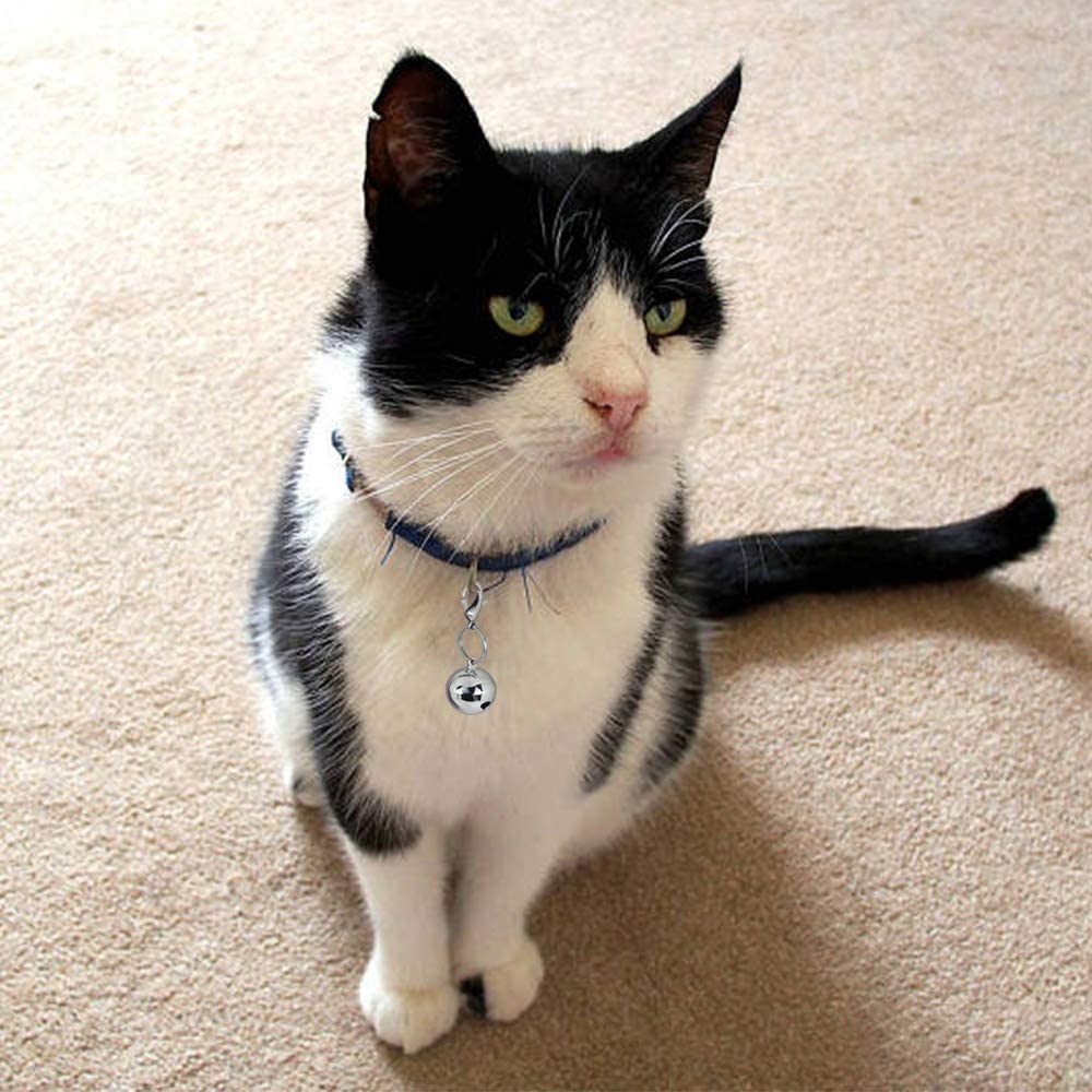 Ivia Pet 4 Sets Cat Bell For Dog Collar Charm Training Pet Pendant Accessories With 2 Pack Stainless Steel Dog Tag Clips(2 Large Silver)
