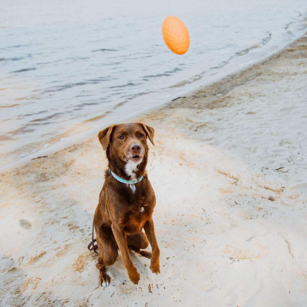 Hound2O Dog Chew Toys - Squeaky Football, Orange - Tough, Engaging, & Interactive Chew Toys - Chew, Chase, & Fetch - Durable Mat