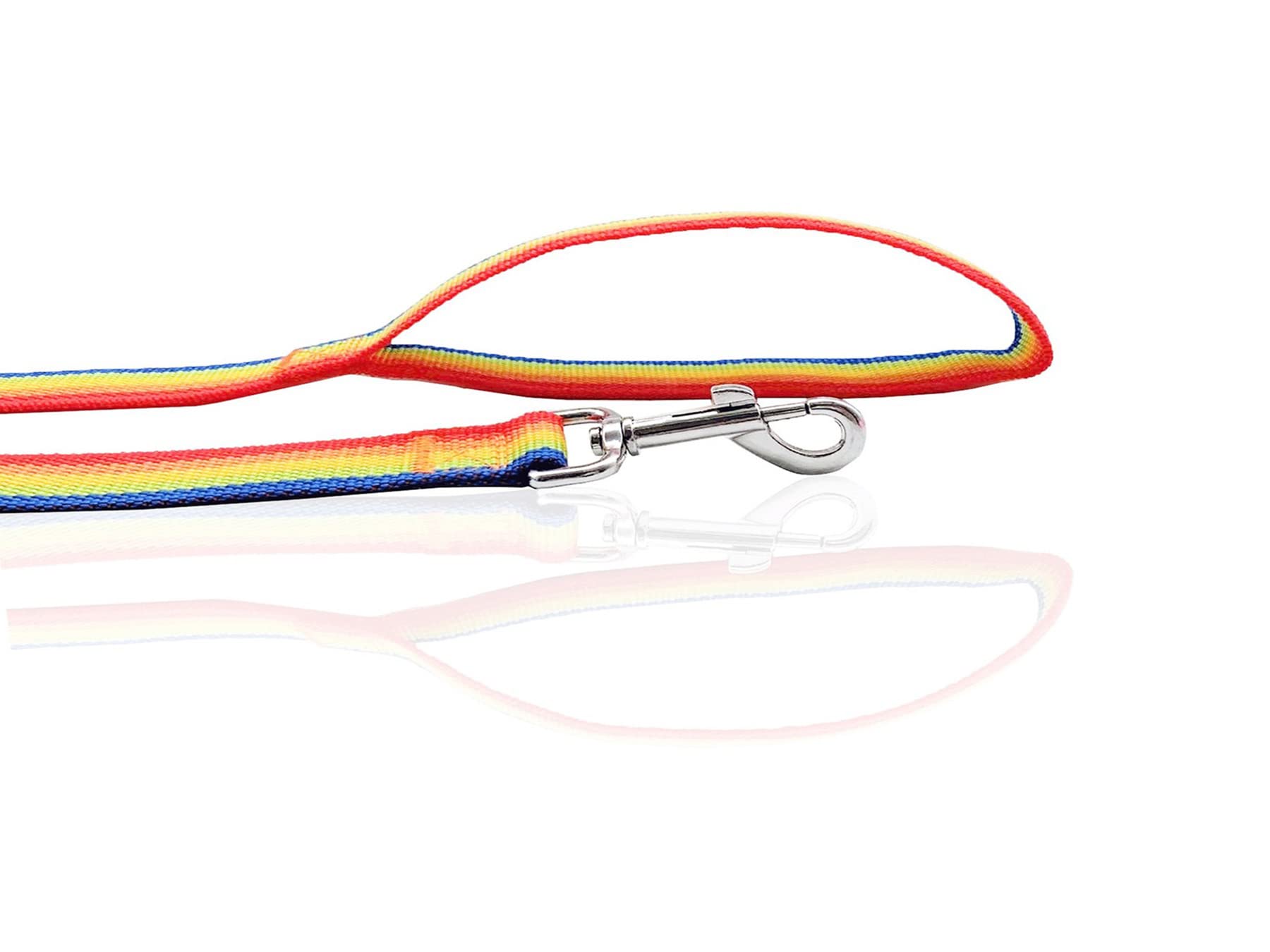 Nylon Dog Leash 4 Ft 5 Feet 6 Foot Long, Walking Training Dog Leashes For Medium Large Dogs, 1 Inch Wide (1'' X 4 Ft, Rainbow)