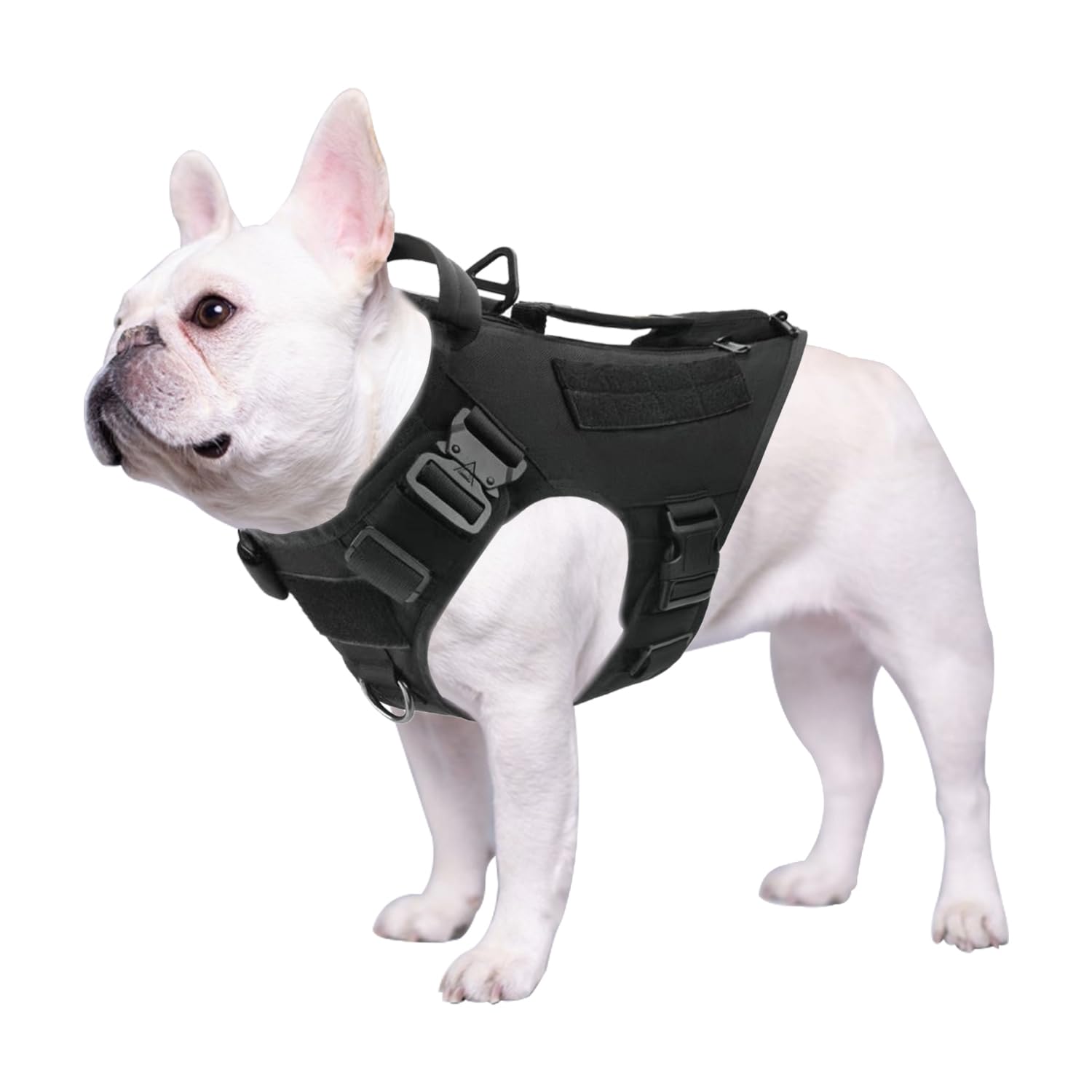 Tactical Dog Harness For Medium And Large Dogs No Pull Adjustable Dog Vest For Training Hunting Walking Military Dog Harness With Handle Service Dog Vest With Molle & Loop Panels Black,M(Vest Only)