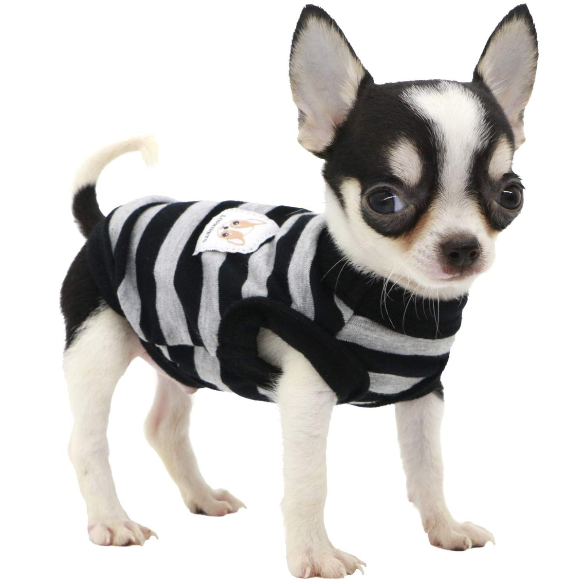 Lophipets 100% Cotton Striped Dog Shirts For Small Dogs Chihuahua Puppy Clothes Tank Vest-Black And Gray Strips/Xs