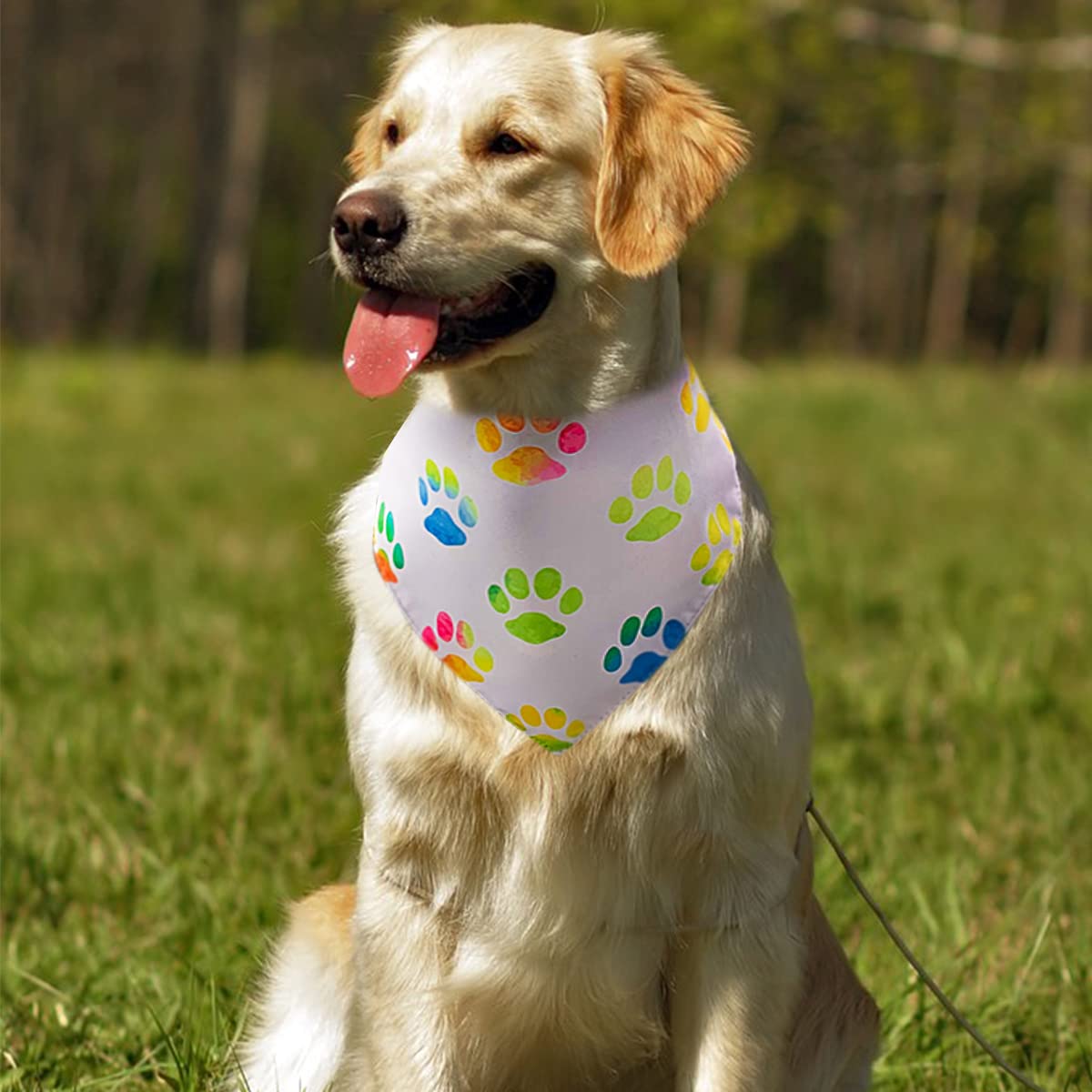 Pet Show 4 Pack Paw Print Big Dog Bandanas Set Girl Boy Reversible Adjustable Dogs Scarves Cat Daily Birthday Party Triangle Bibs Grooming Accessories For Medium Large Dogs Puppies Pets