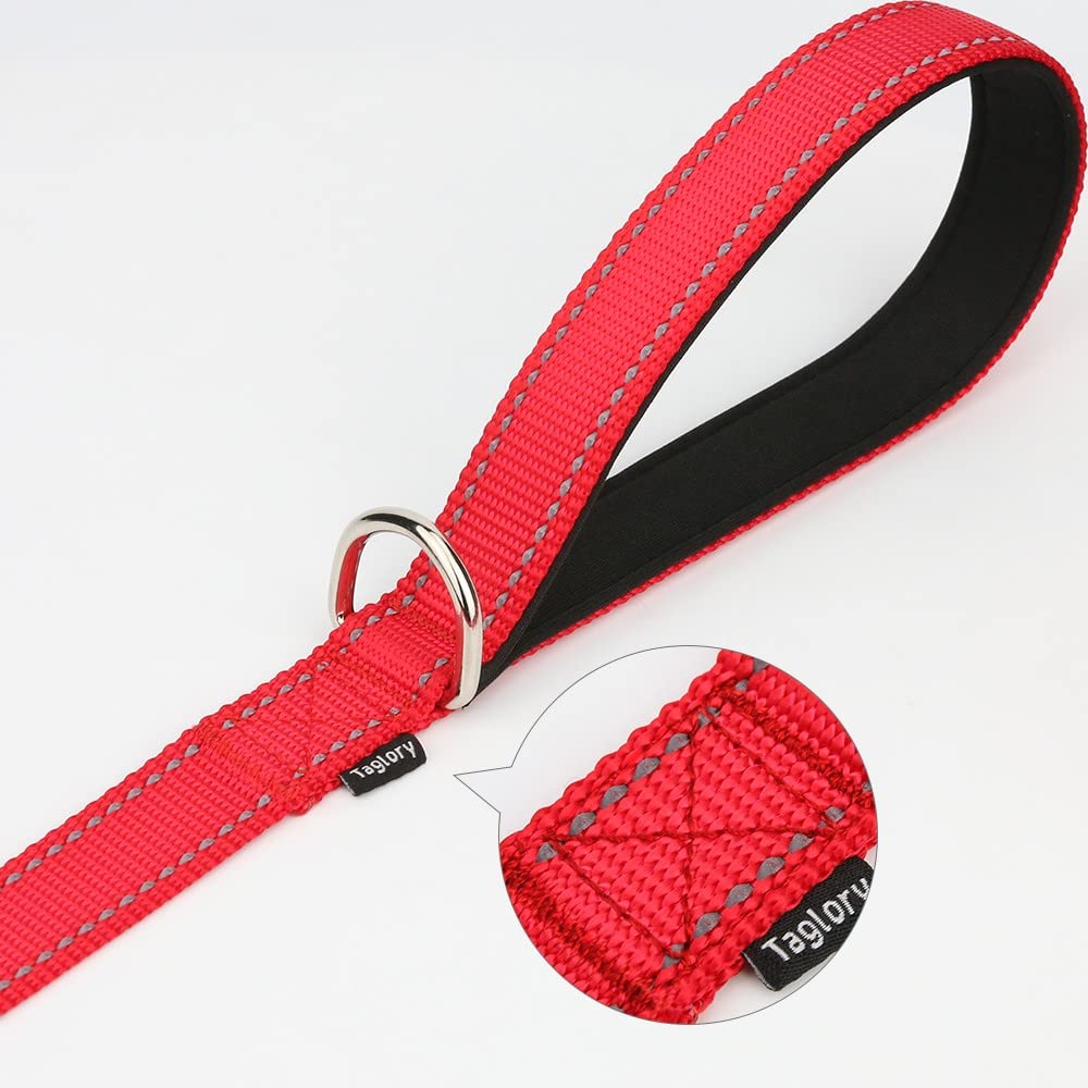 Taglory Nylon Dog Leash 6Ft, Soft Padded Handle Pet Reflective Leashes For Puppy Small Medium Dogs Walking & Training, Red