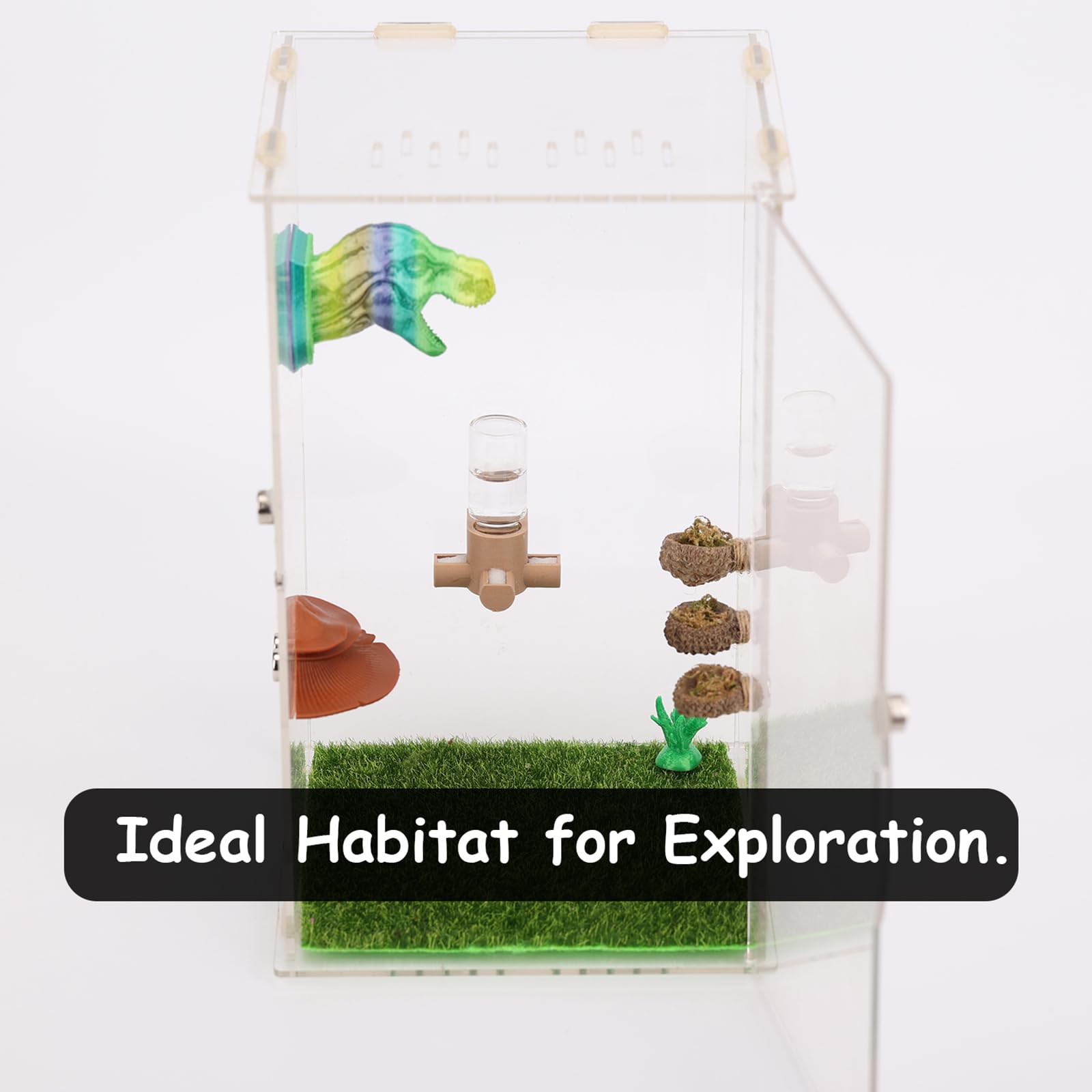 Daerky Jumping Spider Water Dispenser, Magnetic Hanging Feeder,Suitable for Jumping Spiders,Tarantulas, Praying Mantises,Arborea