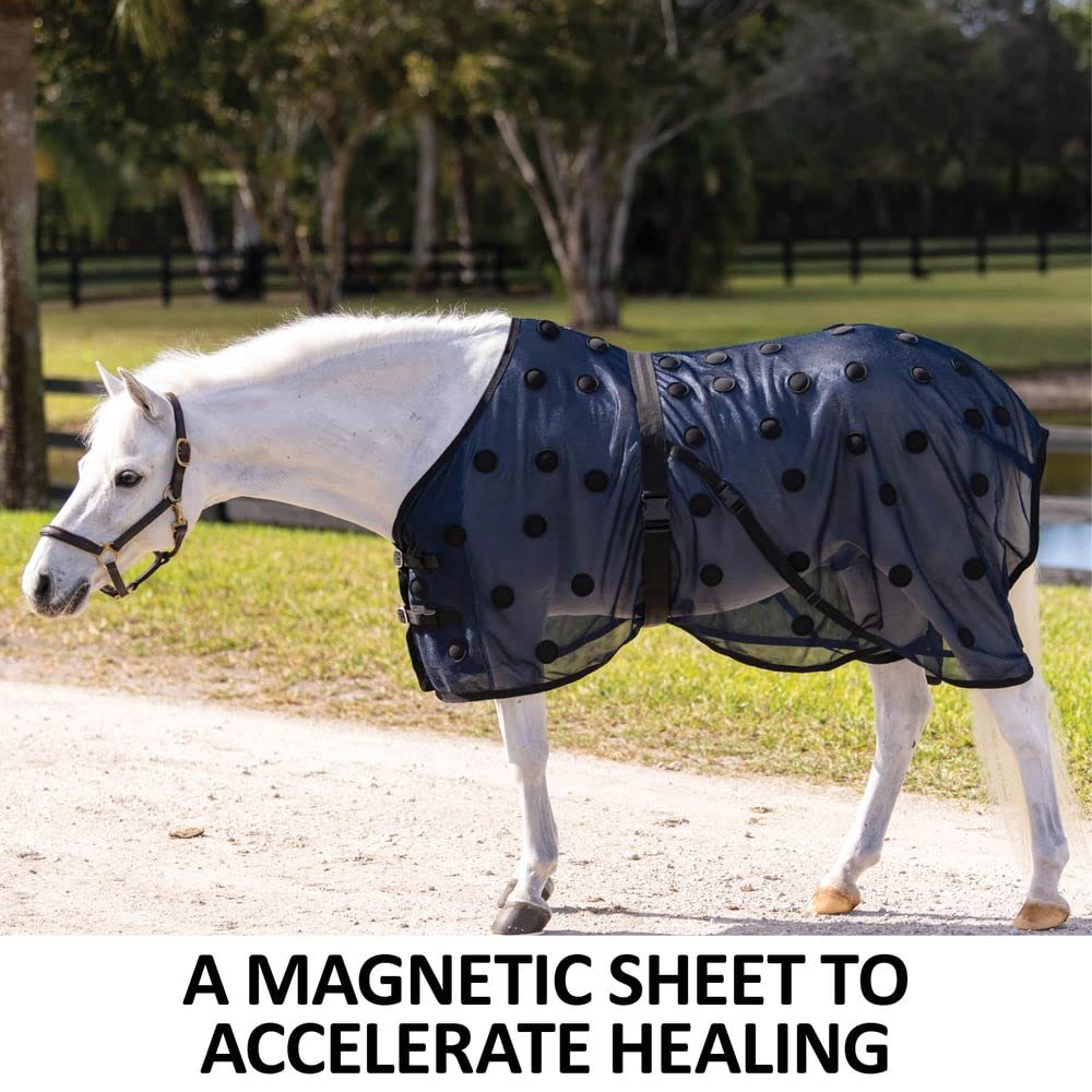 Dura-Tech Magnetic Therapy Pony Horse Sheet | Size Large (60-64) | Color Navy | Horse Wellness Essential | Accelerates Healing |