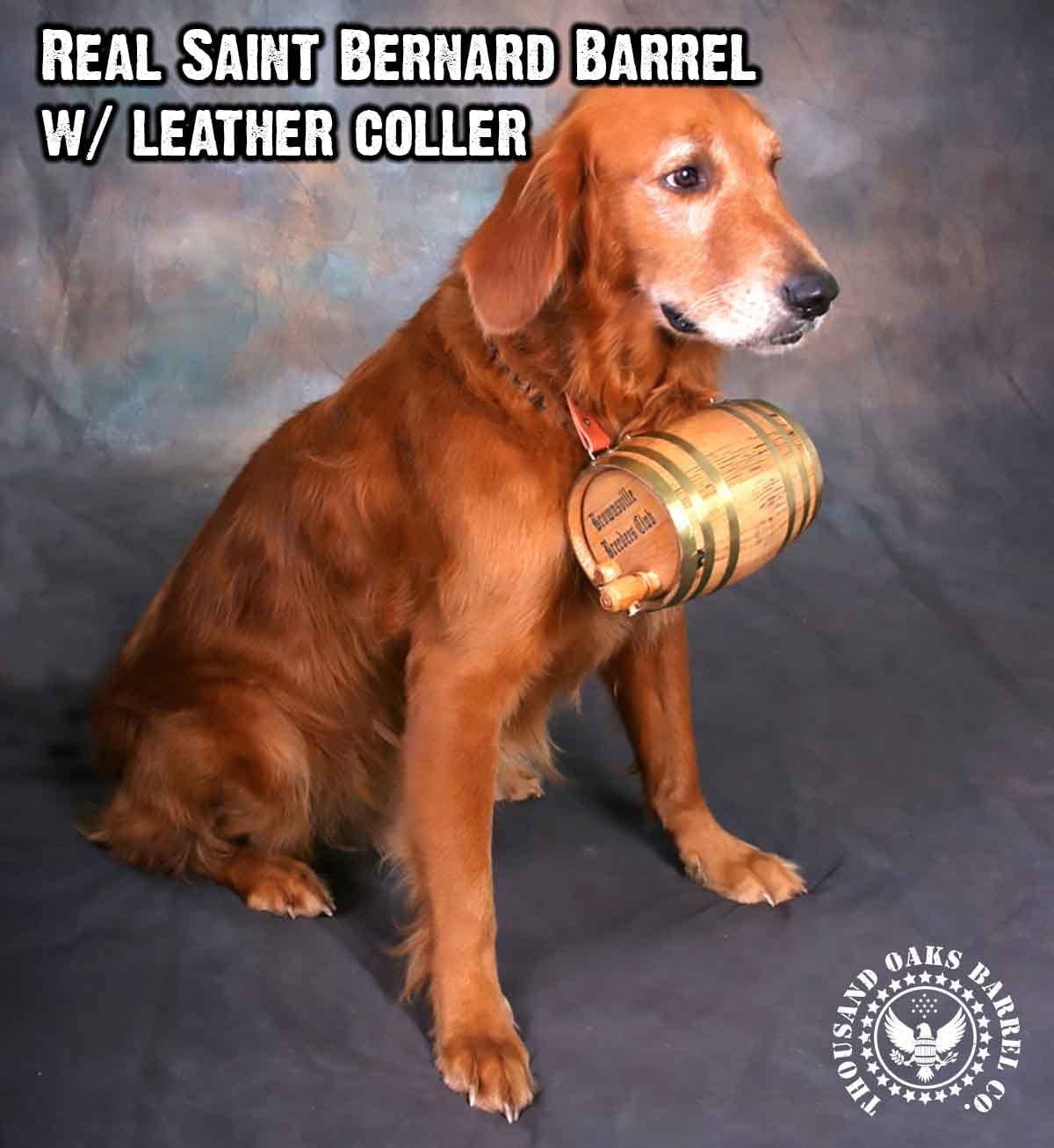 St Bernard Whiskey Barrel Collar For Dog, 'Hair Of The Dog' - 1/2 Liter Oak Aging Barrel Dispenser For Saint Bernard Dogs With Adjustable, Real Leather Harness Strap