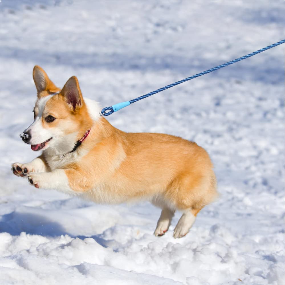 Boswany Small Dog Leash 7Ft, Lightweight Nylon Rope Leash For Puppy Pets, Cats, Small Animals Medium Dogs Walking, Blue