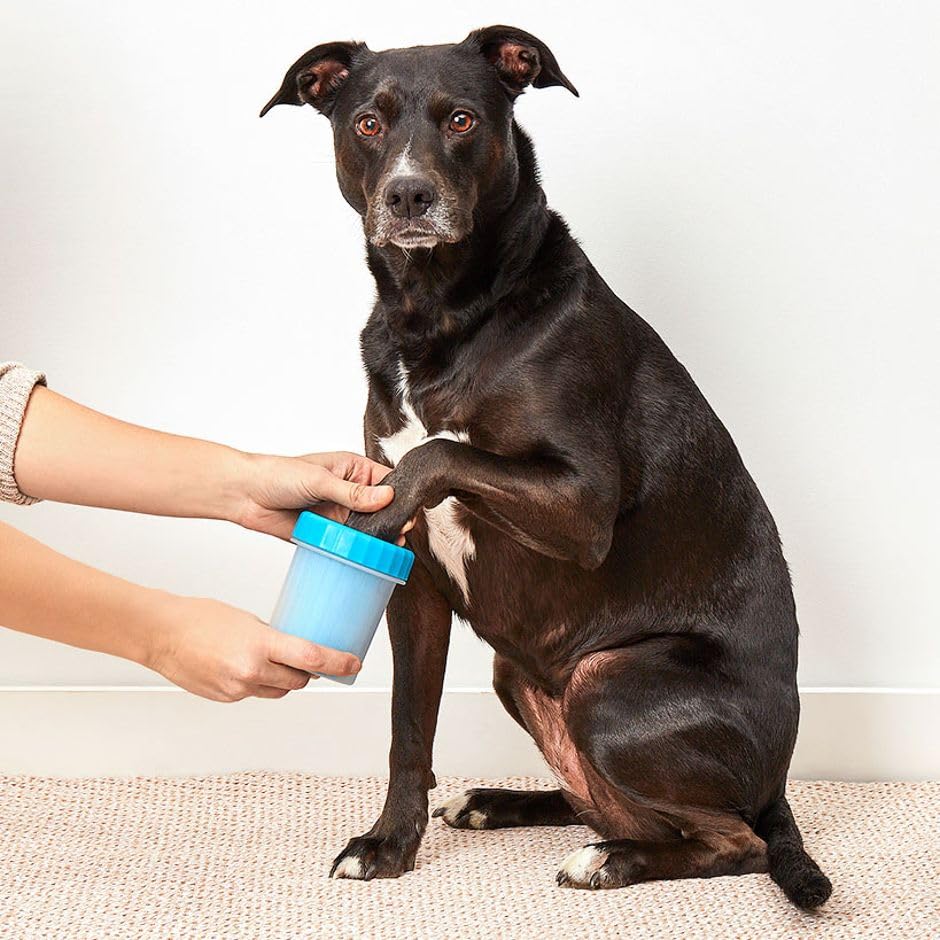 The Lakeside Collection Dog Paw Washer Cup