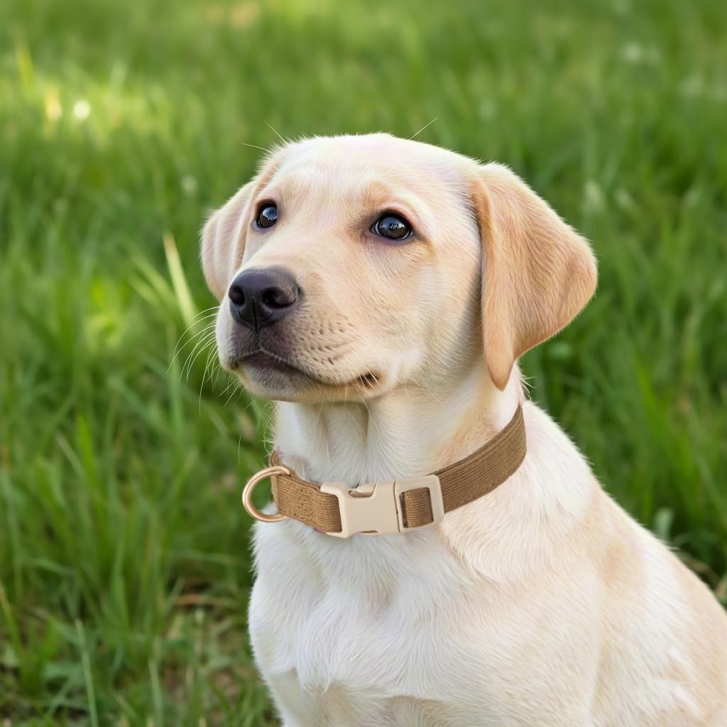 Yudote Soft Cotton Dog Collar Adjustable Corduroy Dog Collars For Small Medium Large Boy Dogs(Brown,Small)
