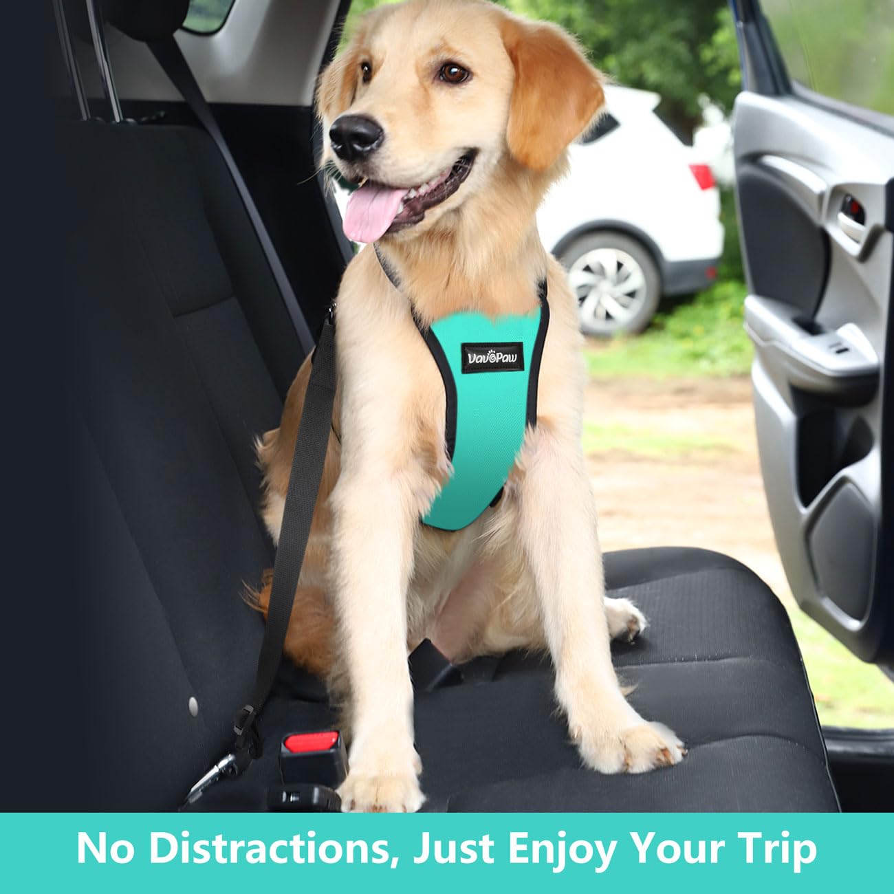 Vavopaw Dog Vehicle Safety Vest Harness, Adjustable Soft Padded Mesh Car Seat Belt Leash Harness With Travel Strap And Carabiner For Most Cars, Xxl Size, Blue