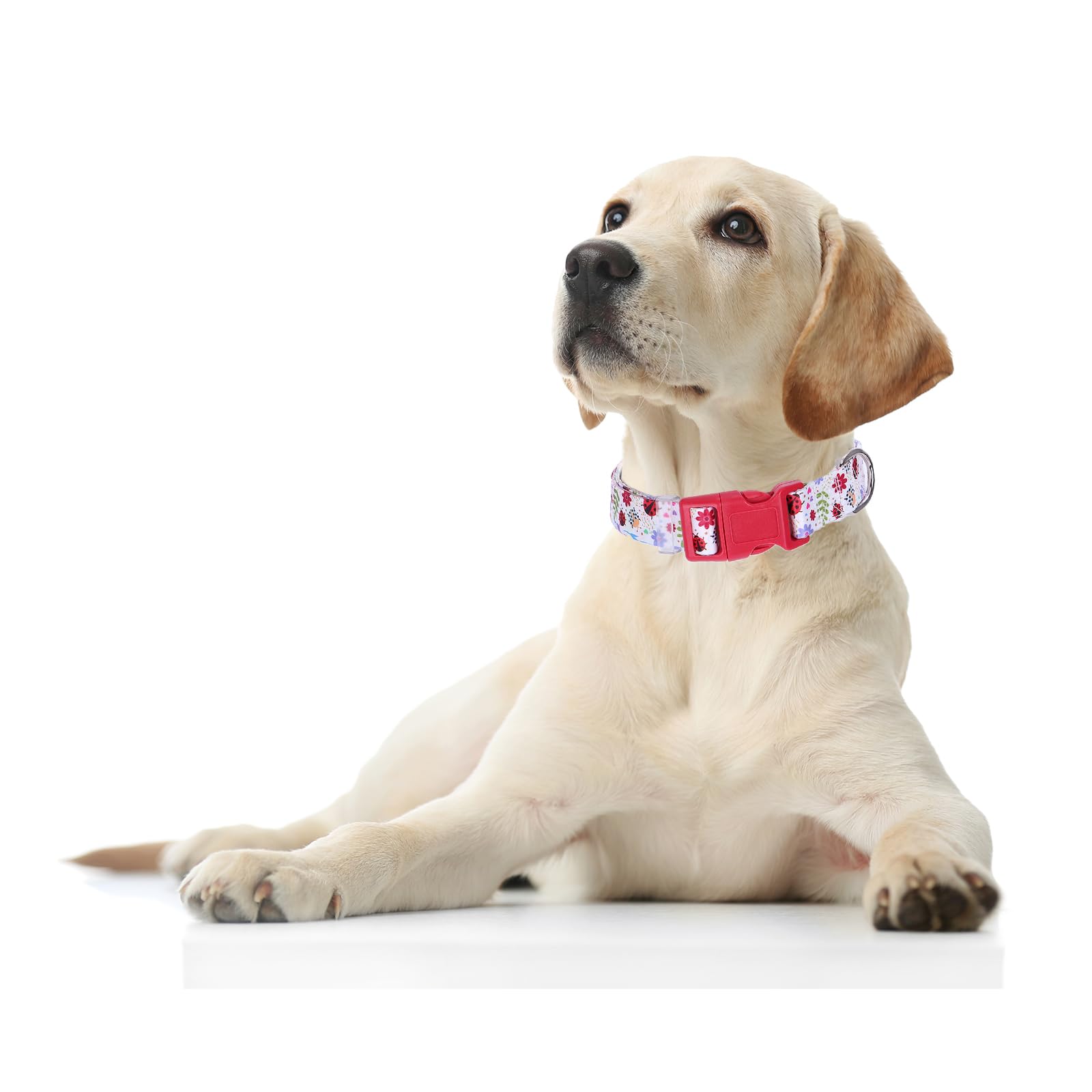 Cute Dog Collar With Girl Boy, Adjustable Nylon Comfy Soft Durable Pet Collar For Xs Small Medium Large Extra Large Dog(M