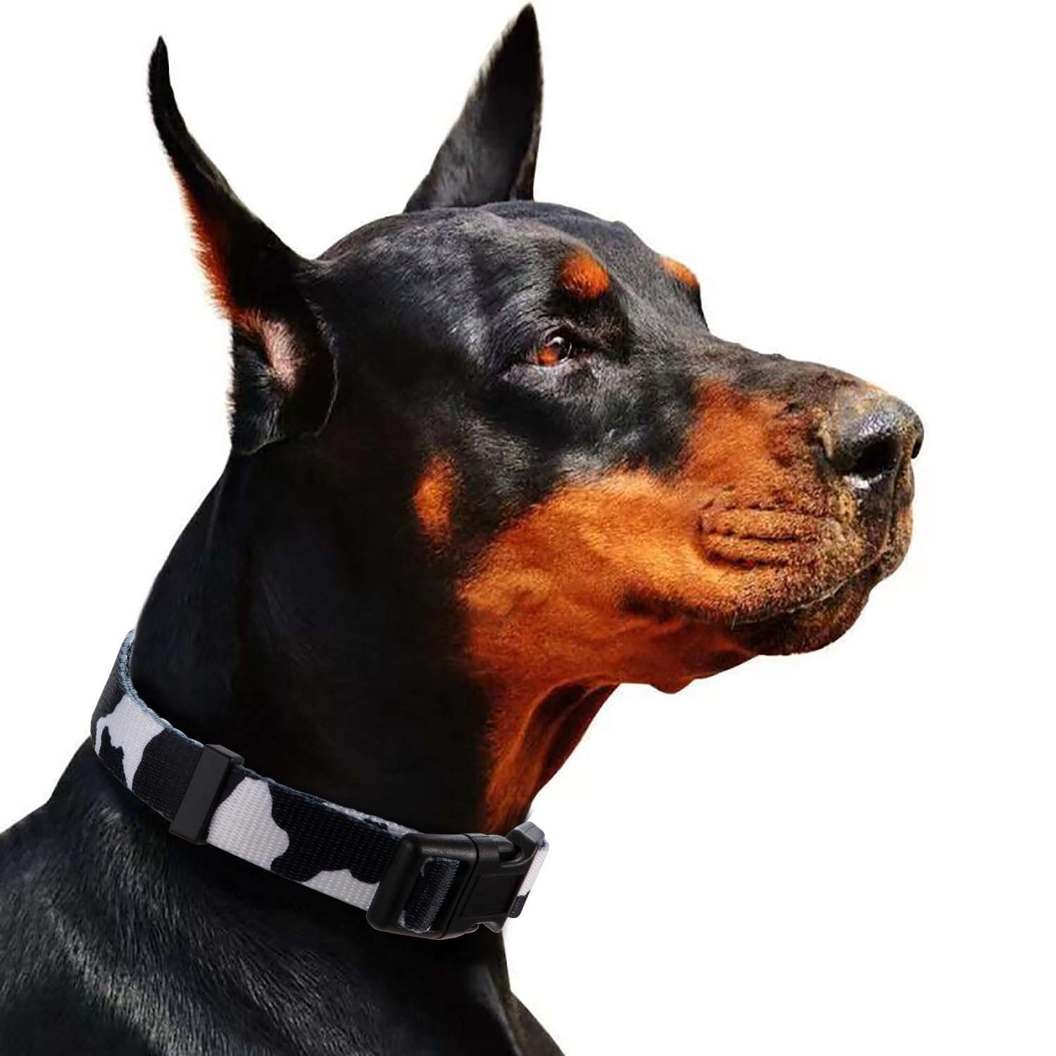 Rhea Rose Cow Print Dog Collar Animal Pattern For Dogs White Black, Small