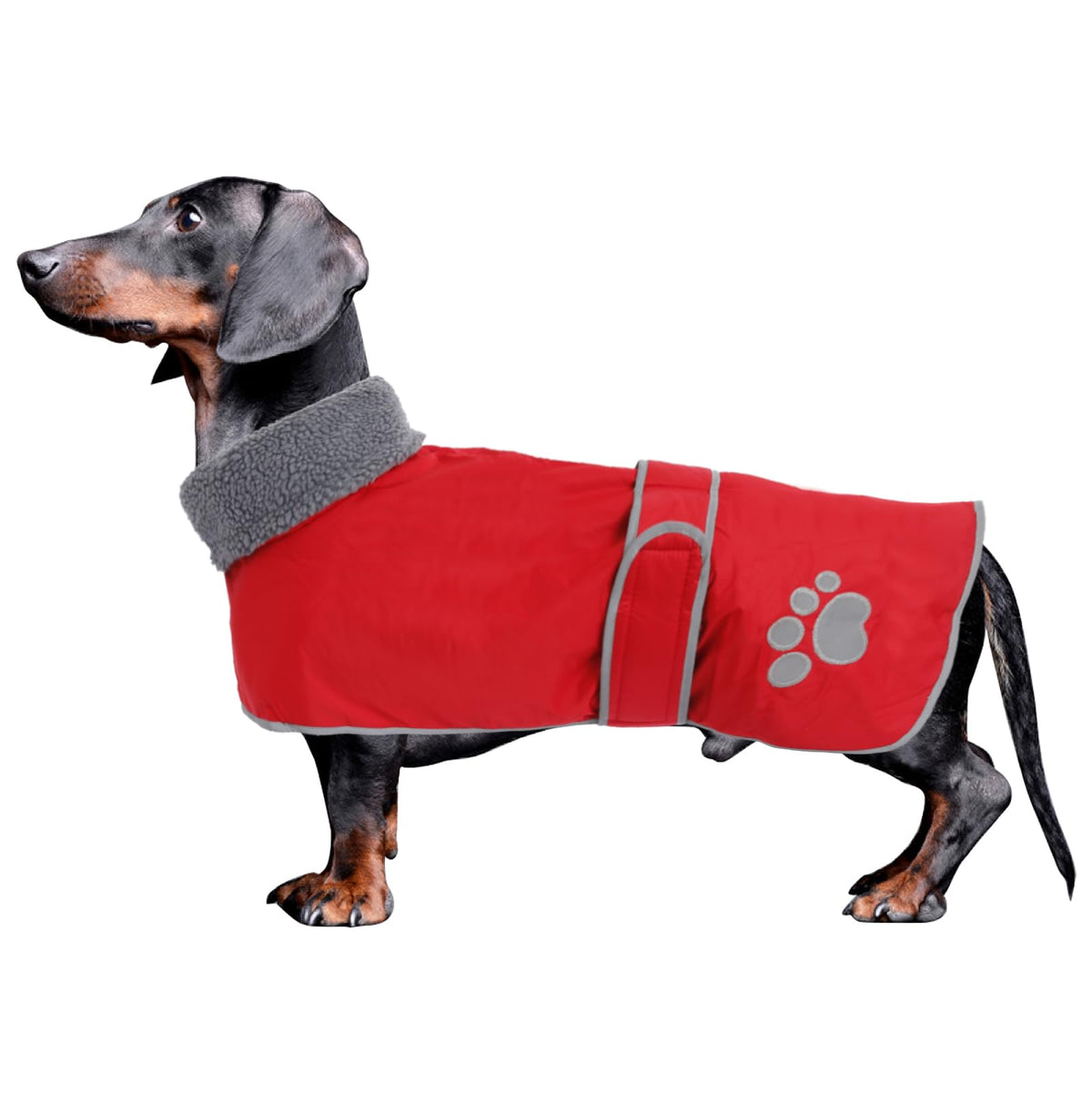 Dog Winter Coat Thermal Quilted Dachshund Coat,With Warm Flannel Lining,Geyecete Waterproof Outdoor Dog Apparel With Adjustable Bands For Small,Medium,Large Dog-Red-M