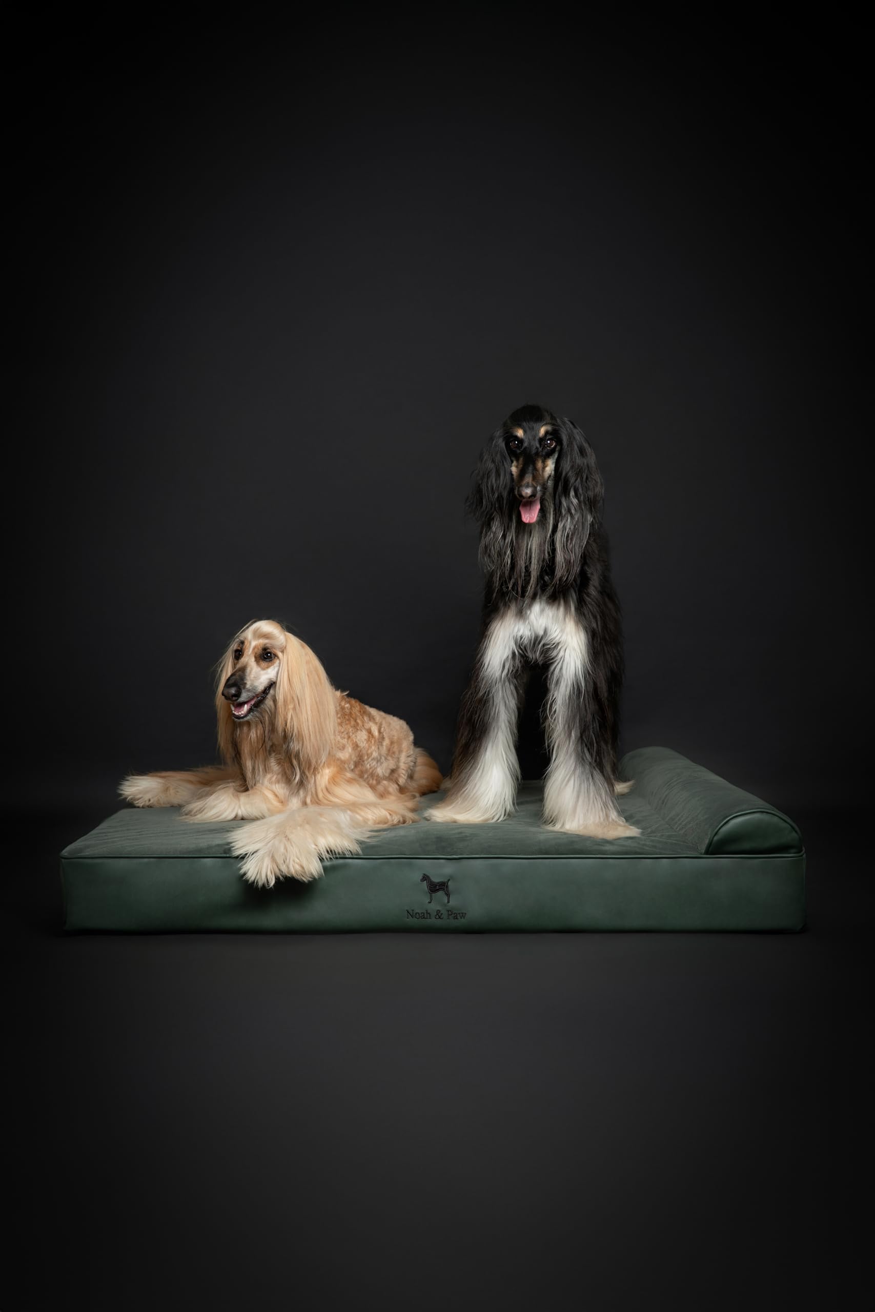 NOAH & PAW Giant Dog Bed XXL 55x45x11 Inch, Orthopedic Dog Beds, Eggshell Memory Foam Infused with Cooling Gel, Waterproof, Mach