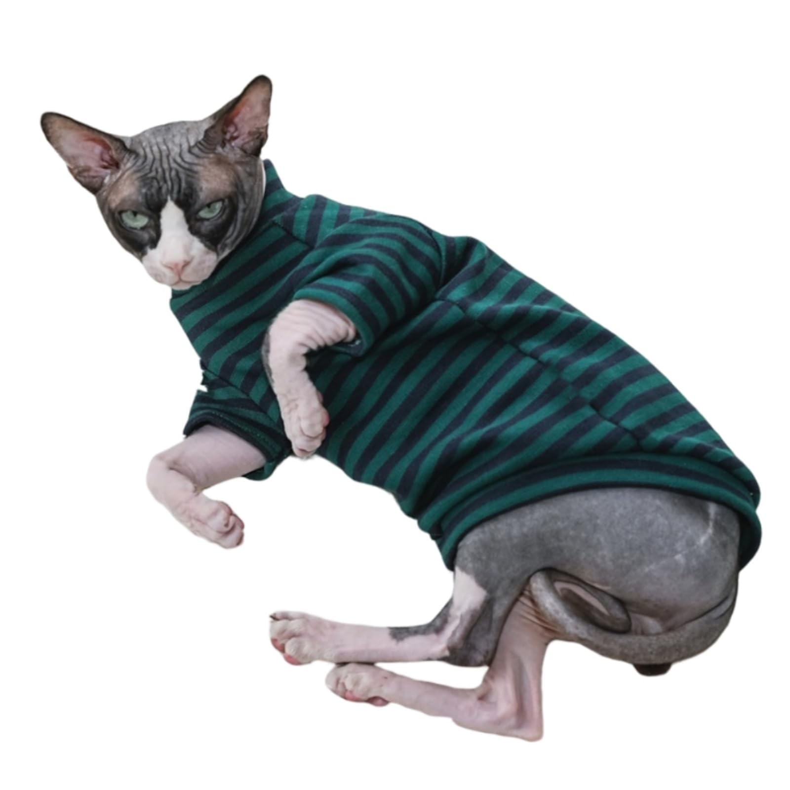 Vintage Mulan Cotton Sphynx Hairless Cats Shirt Cat Turtleneck Pet Clothes Kitten T-Shirts With Sleeves For Sphynx Cornish Rex, 