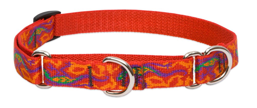 Lupinepet Originals 3/4' Go Go Gecko 10-14' Martingale Collar For Small Dogs