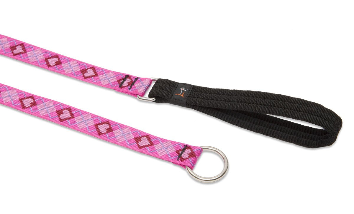 LupinePet Originals 1'' Puppy Love 6-foot Slip Lead/Leash for Medium and Larger Dogs