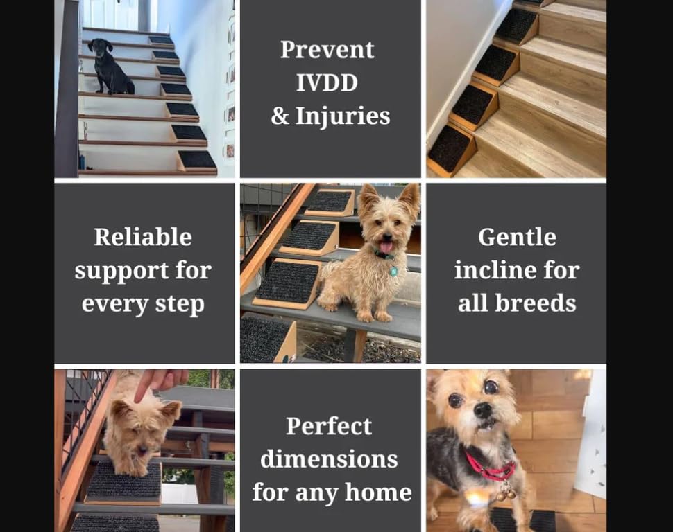 Stairwedge Original Stair Ramp for Small Dogs - Enhanced Tread Grip, Black/Tan, Cork Material, Pack of 1