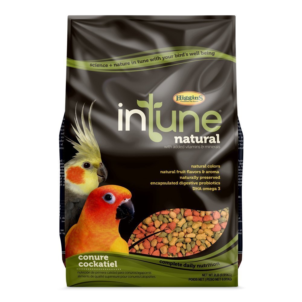 Higgins 466250 Hig Intune Conure Tiel 2Lb, Large