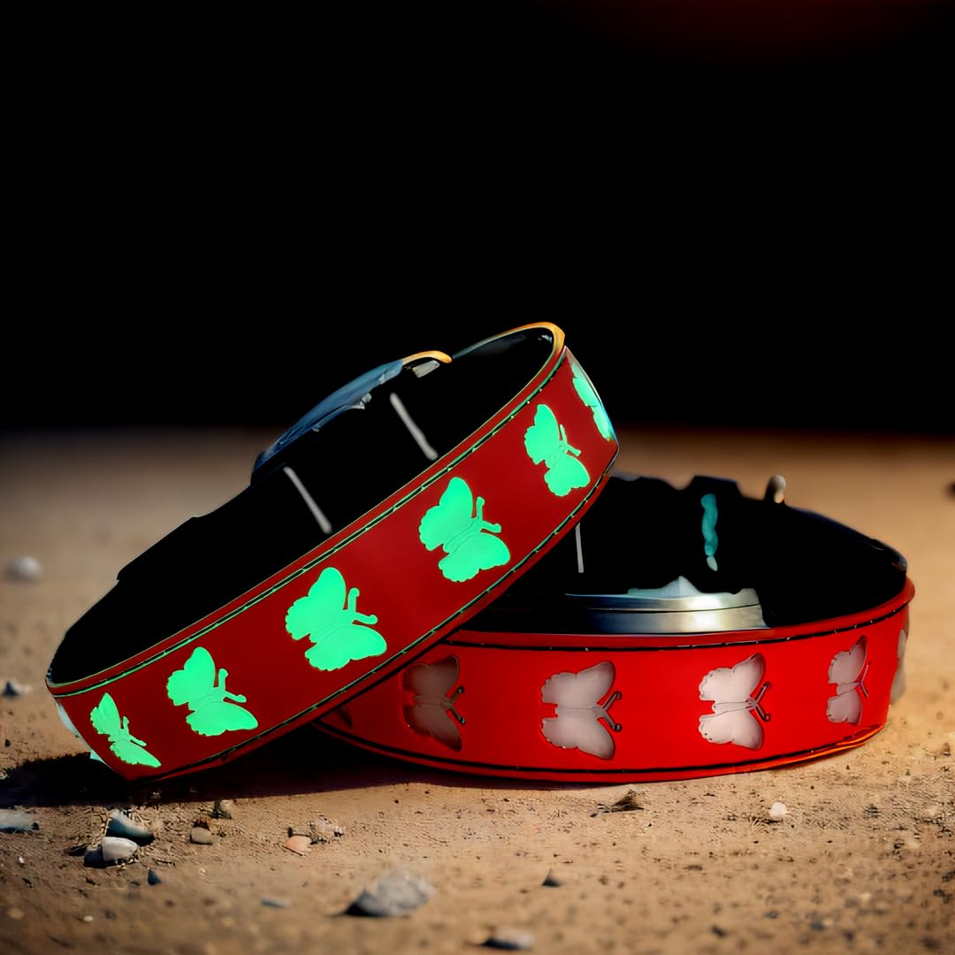 Dogled Usb-C Led Light Up Dog Collar, 3D Design Comfortable And Soft Material,Multicolored Lighting,Night Dog Collar (Bt-Red, M(