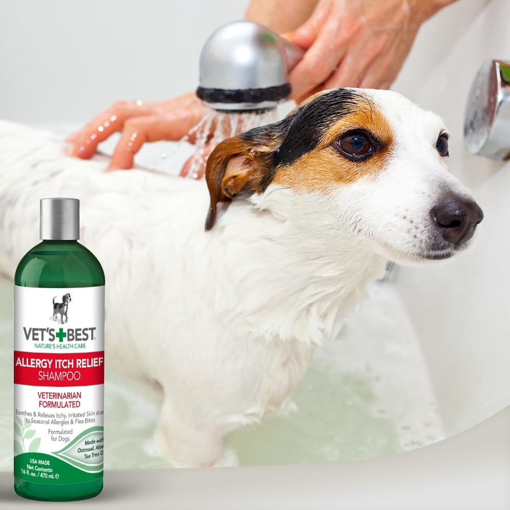 Vet's Best Oatmeal Shampoo for Dogs - Soothes Dry Skin, Cleans & Conditions - 16 Ounces - Blue & Purple