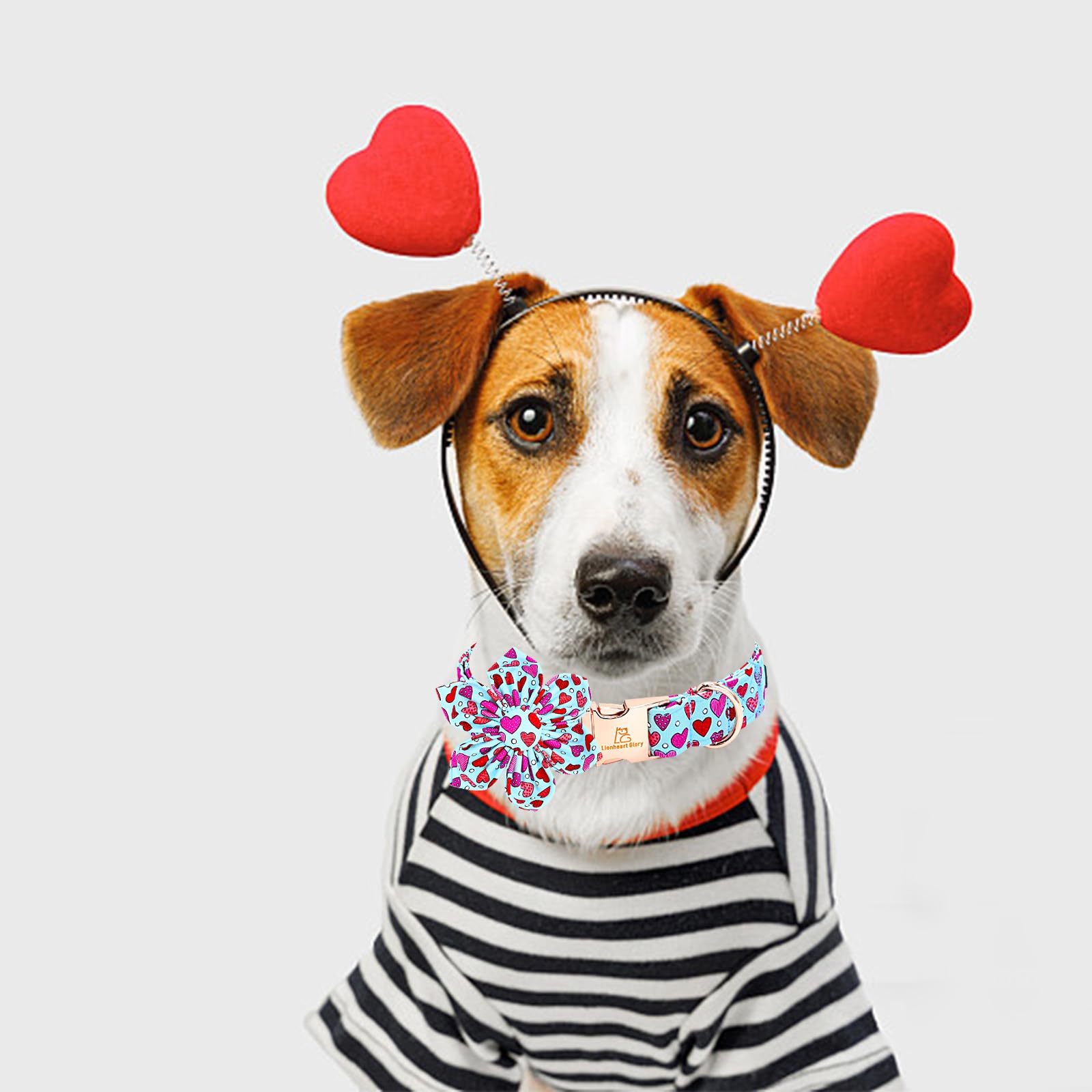 Lionheart Glory Valentine'S Day Dog Collar-Red Hearts Print Dog Collar With Flower For X-Small Dogs Spring Blue Cute Dog Bow Col