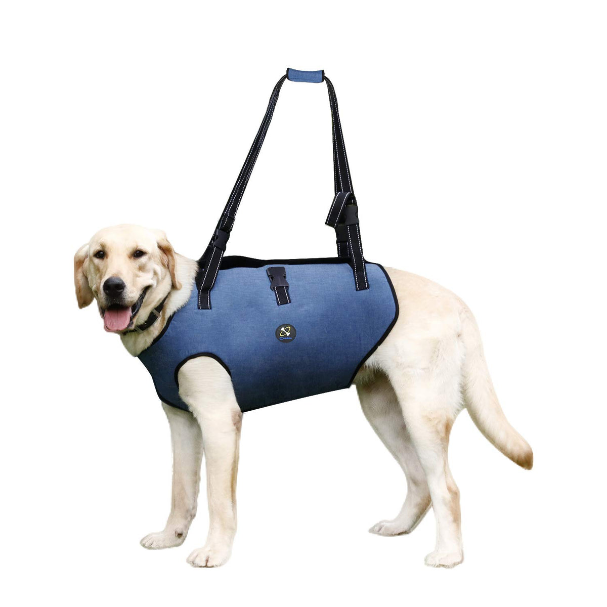 Coodeo Dog Lift Harness, Pet Support & Rehabilitation Sling Lift Adjustable Padded Breathable Straps For Old, Disabled, Joint Injuries, Arthritis, Loss Of Stability Dogs Walk (Blue, 2Xl)