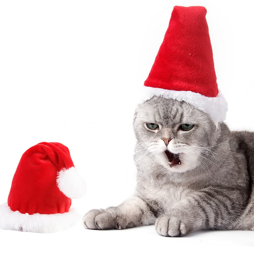 Adjustable 3D Christmas Santa Hat For Dogs Cats (Small)