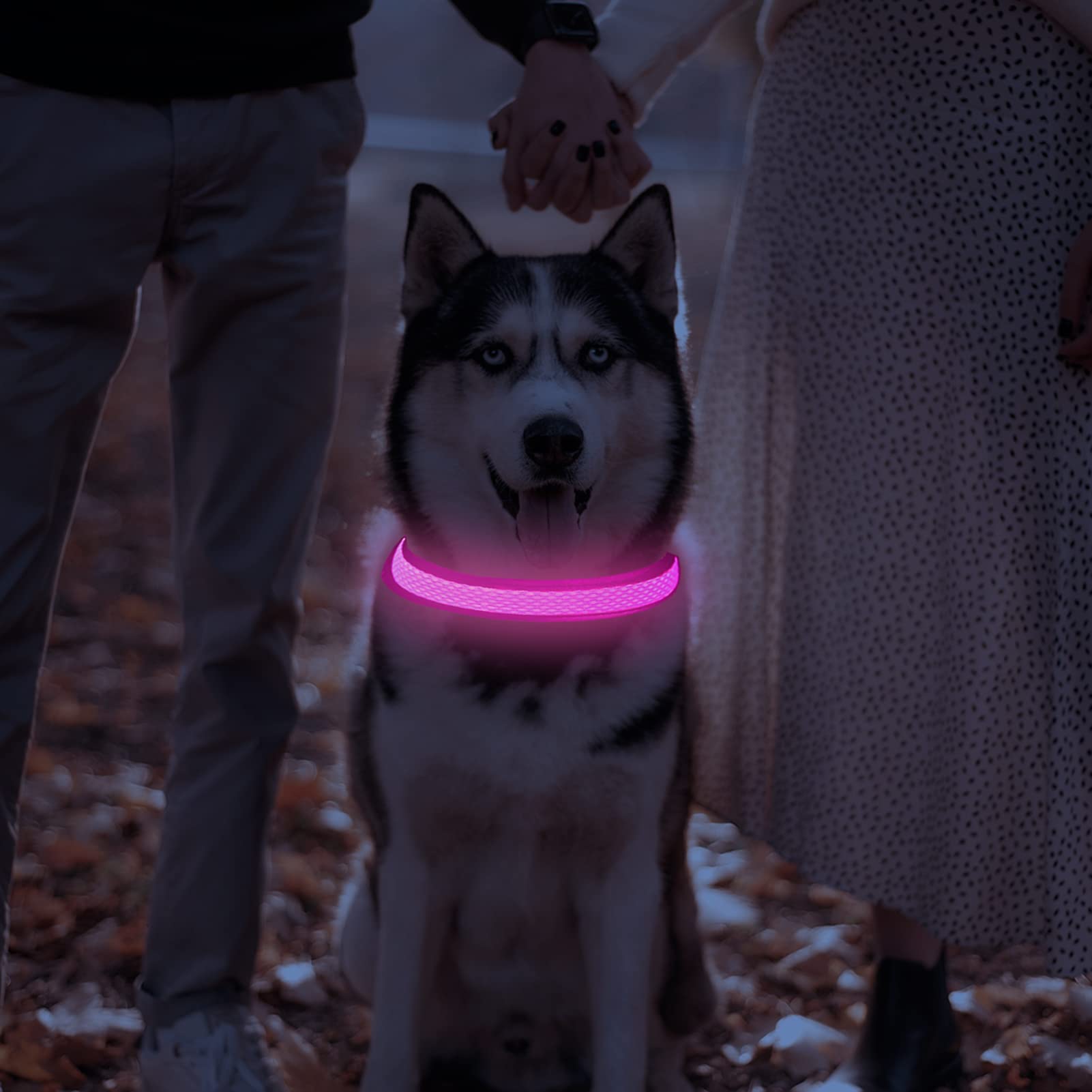 Domagiker Glowing Led Dog Collar - Rechargeable Light Up Dog Collars, Adjustable Lighted Dog Collar, Reflective Dog Glow Collar Walking Lights For Large Dogs (Pink, Large)