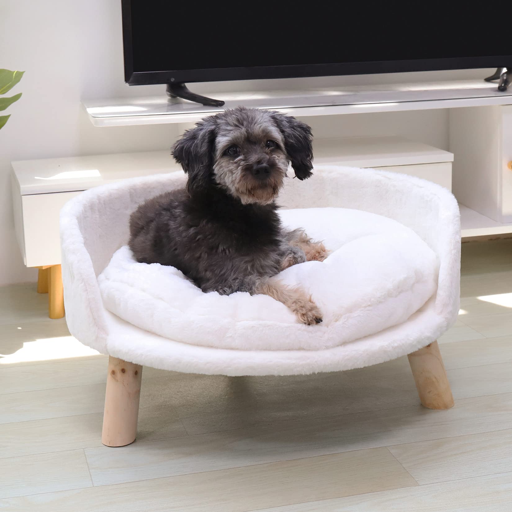 Bingopaw Elevated Pet Bed,Nordic Pet Stool Bed With Cozy Pad Waterproof,Pet Chair With Sturdy Wood Legs For Small Dog Kitten