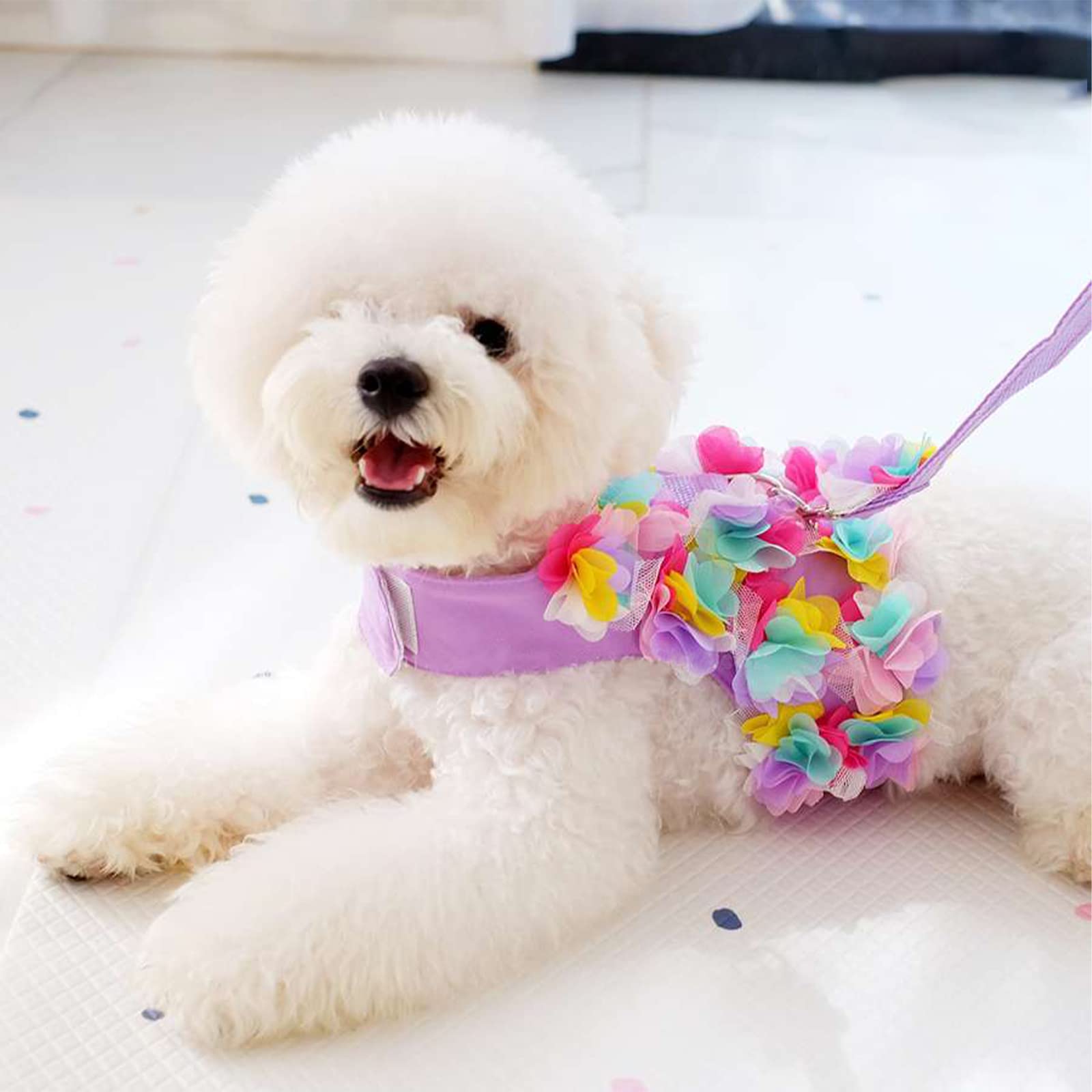 Tengzhi Puppy Dog Harness And Leash Set Purple Lace Floral Dog Vest Harness For Small Dogs Cute Soft Mesh Escape Proof Pet Cat Vest Harness