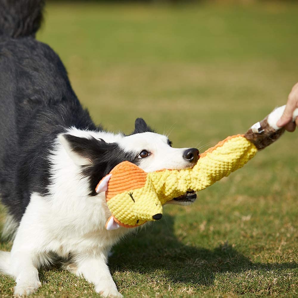 ONTWOPETS Dog Toy Plush Durable Small Dog Toys Low Stuffing Interactive Dog Plush Toys W/Squeaker Puppy Chew Toys Reduces Boredo