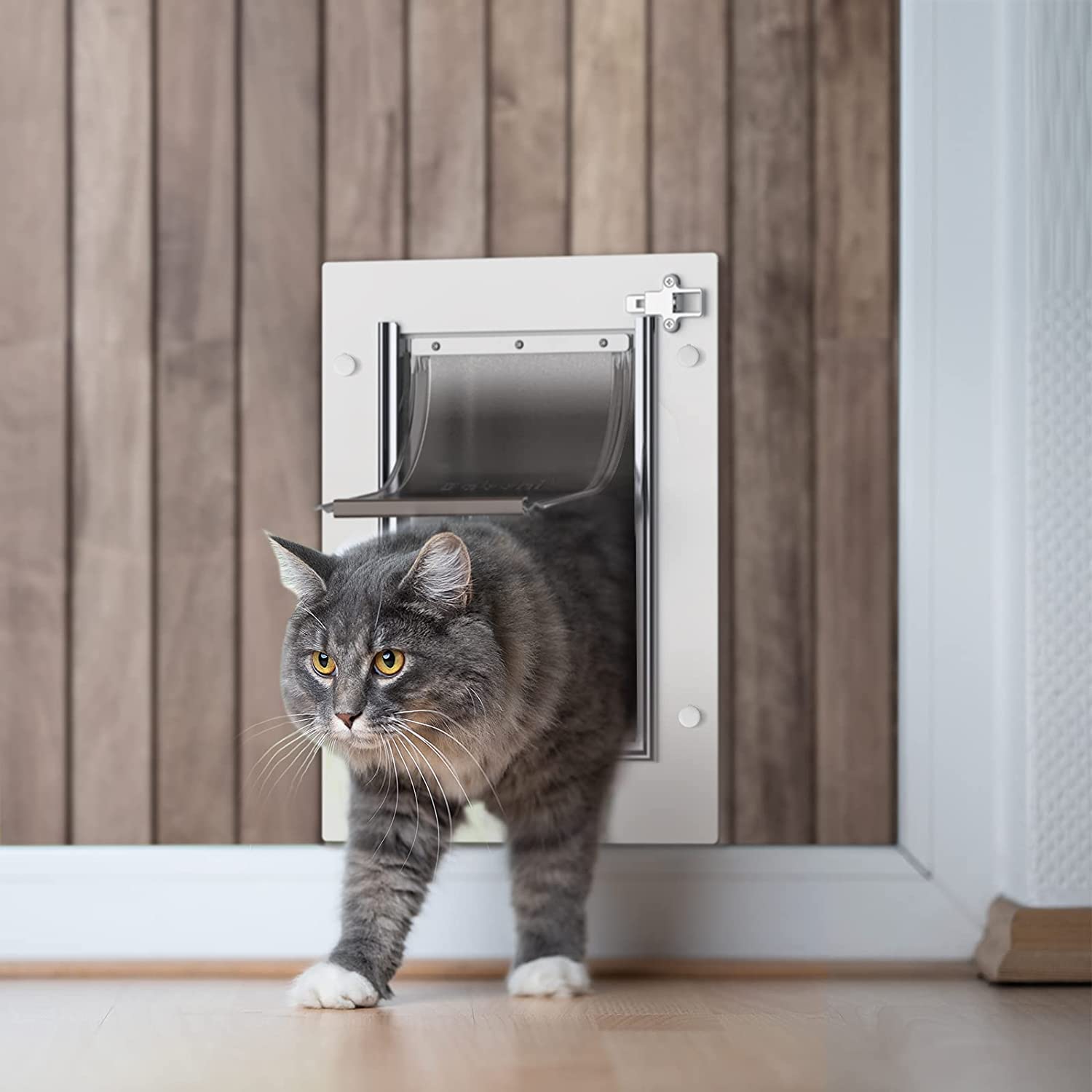 Baboni Pet Door for Wall, Steel Frame and Telescoping Tunnel, Aluminum Lock, Double Flap Dog Door and Cat Door, Strong and Durable (Pets Up to 12 Lb) -Small -Like New