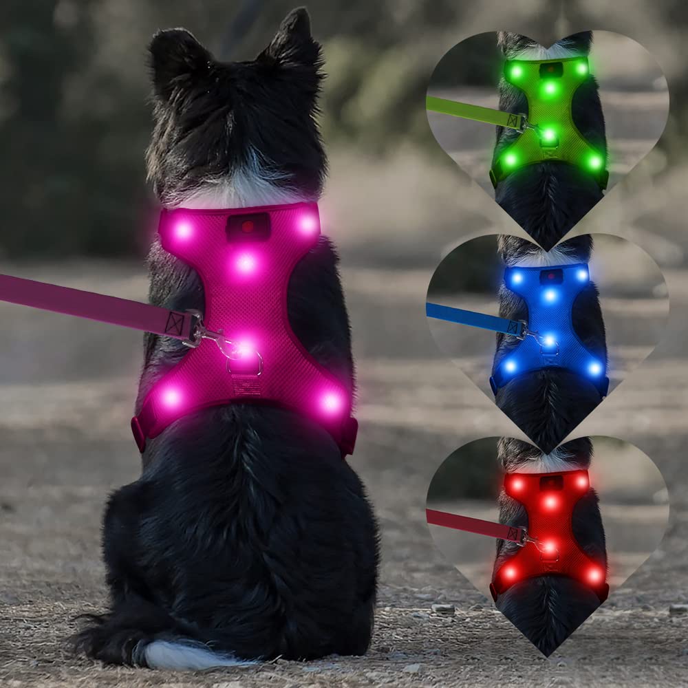 DOMIGLOW Safety LED Dog Harness - Light Up Dog Vest, No-Pull Dog Harness - Rechargeable Glowing Pet Harness for Night Walking & 