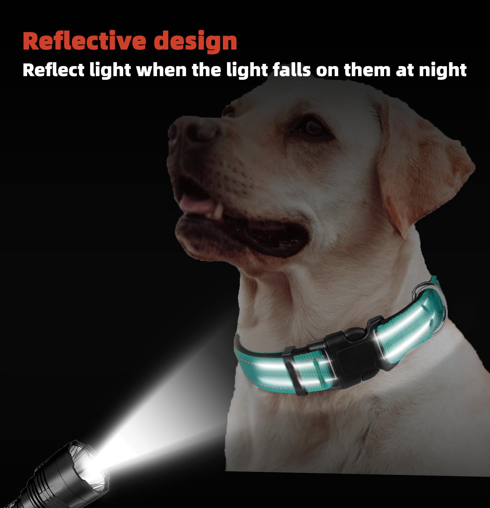 Teal Dog Collar, Reflective Pet Collar with Buckle Adjustable Safety Nylon Collars for Small Medium Large Dogs